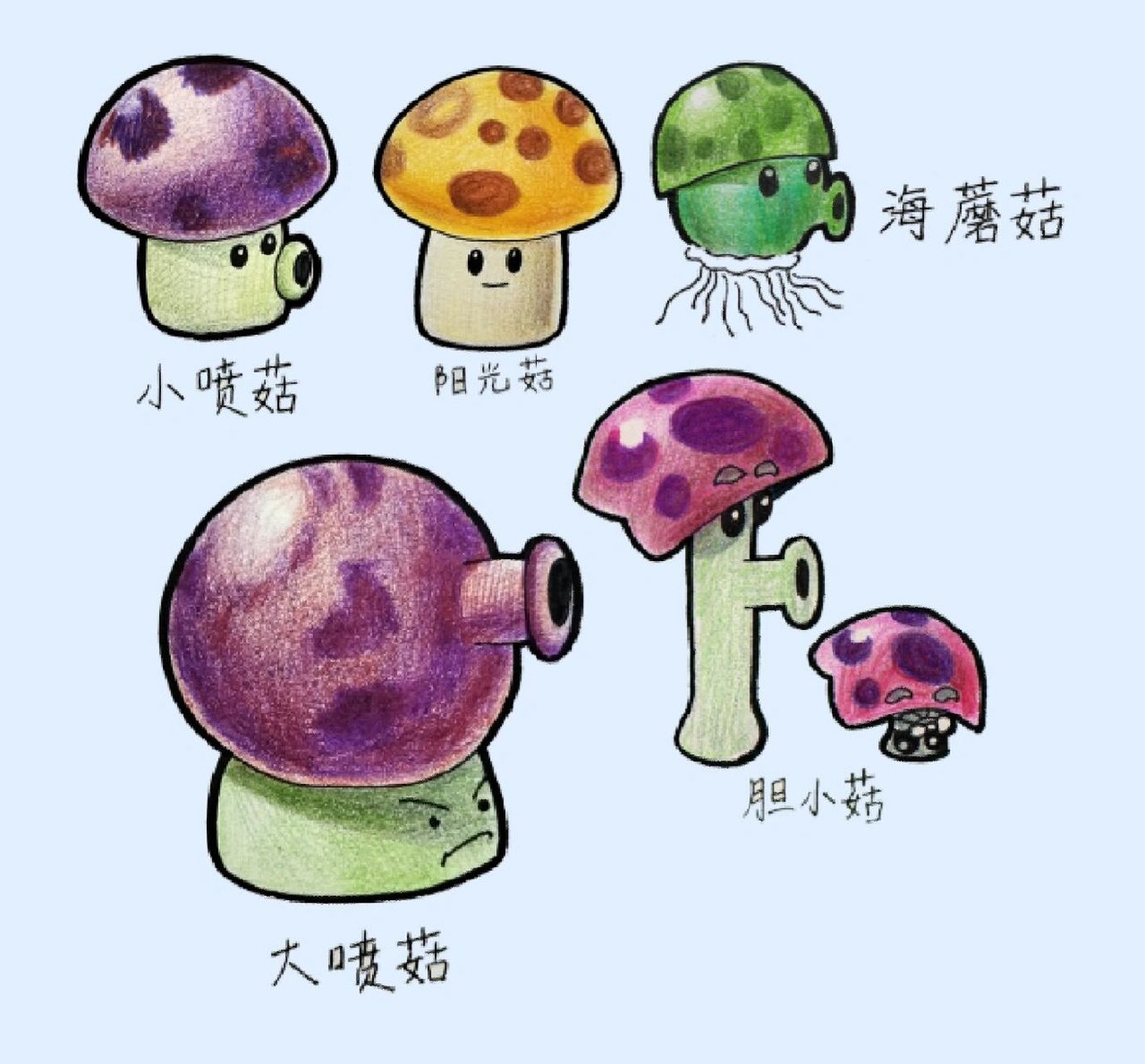 小喷菇的简笔画图片