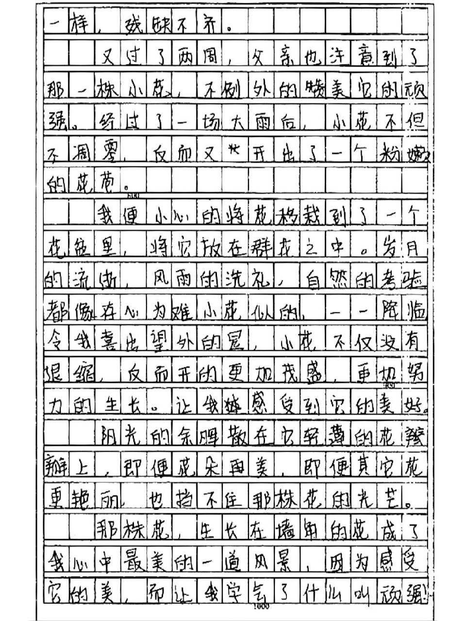 感受一朵花的力量 分享几年前写在答题卡上的作文 适用:对生命的感悟