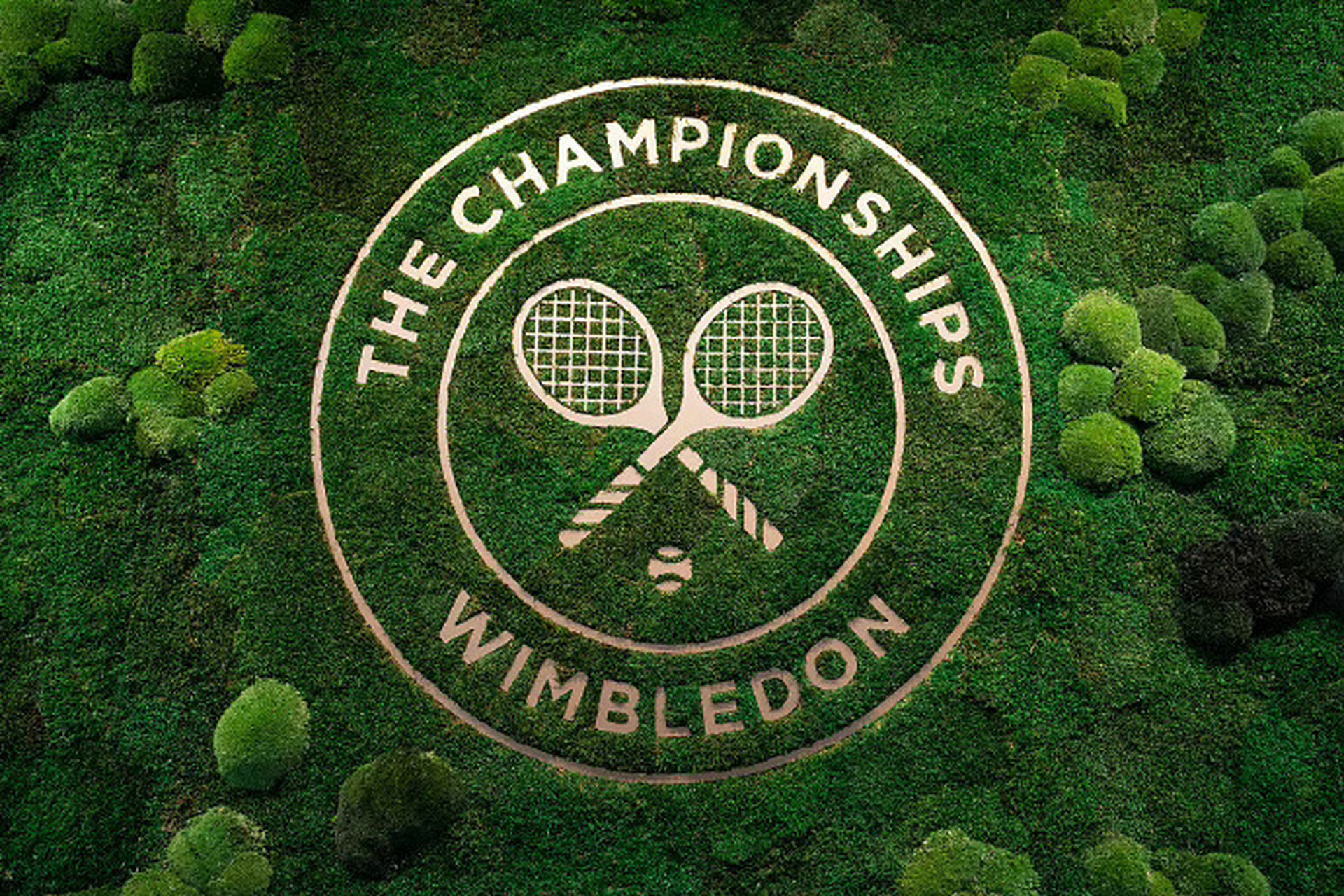 吴易昺张之臻温网男双退赛#  温布尔登网球锦标赛:由于吴易昺身体