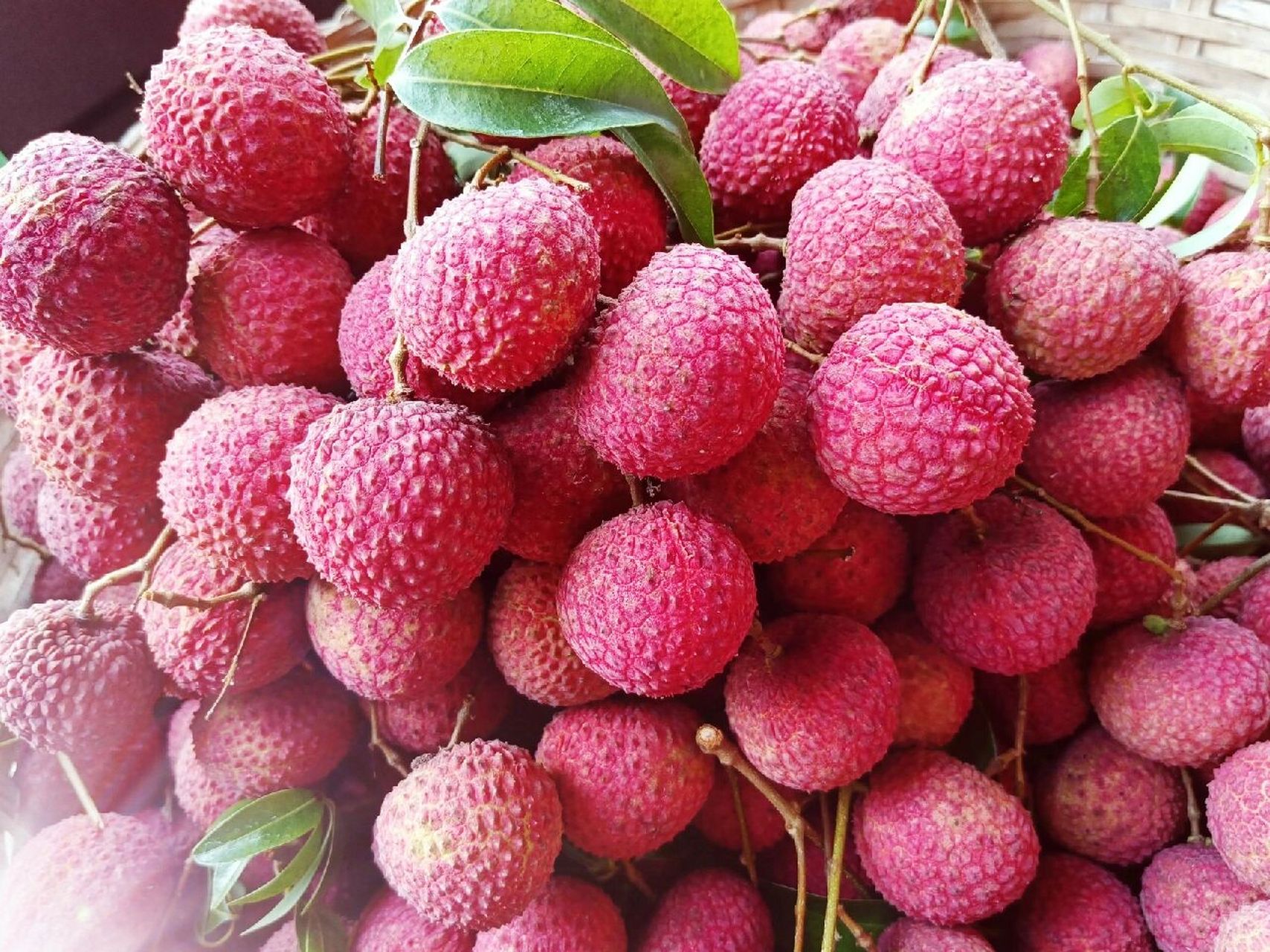 正宗香山鸡嘴荔枝 40元1斤包邮 香山鸡嘴荔