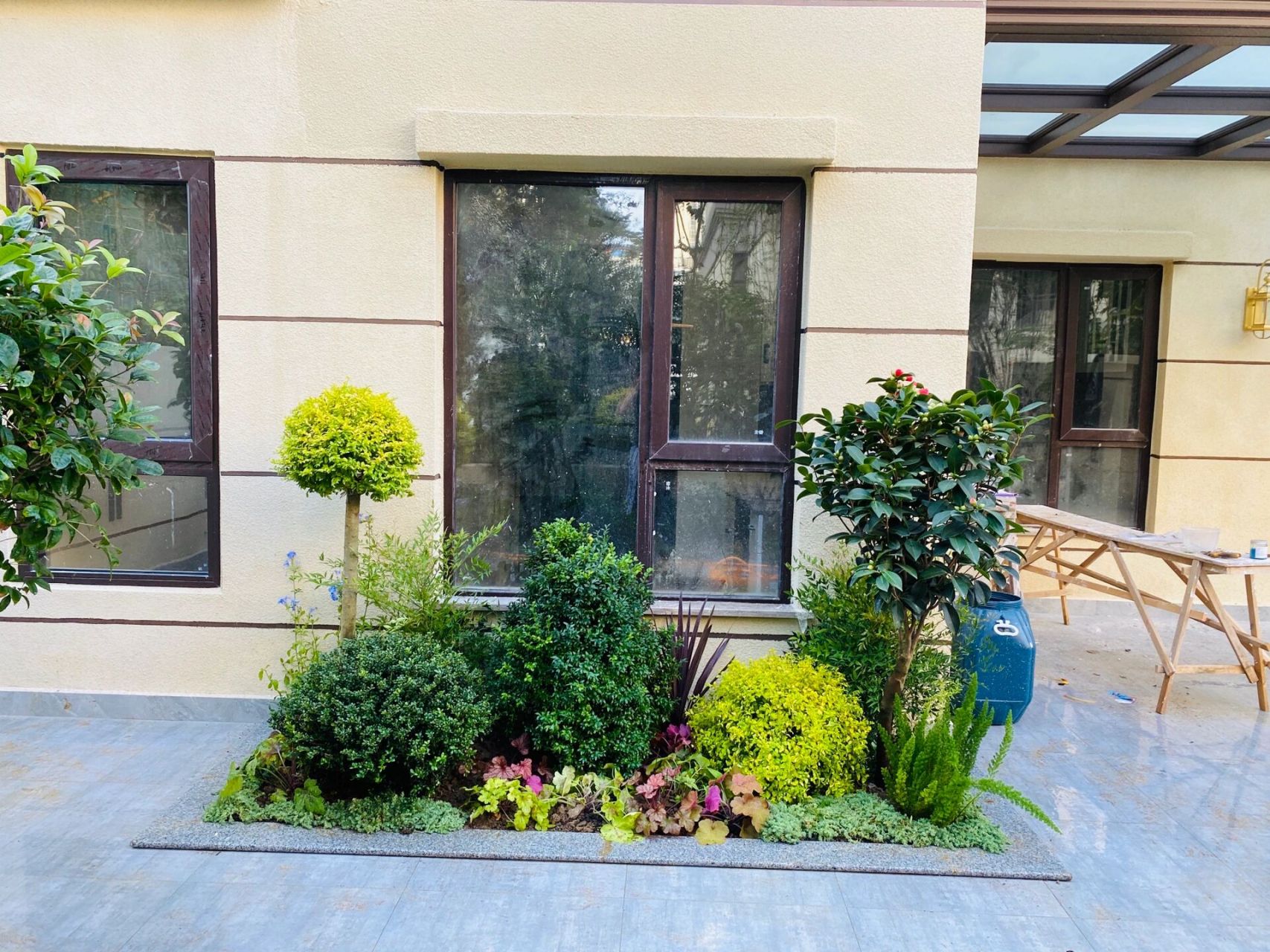 低维护花池植物99