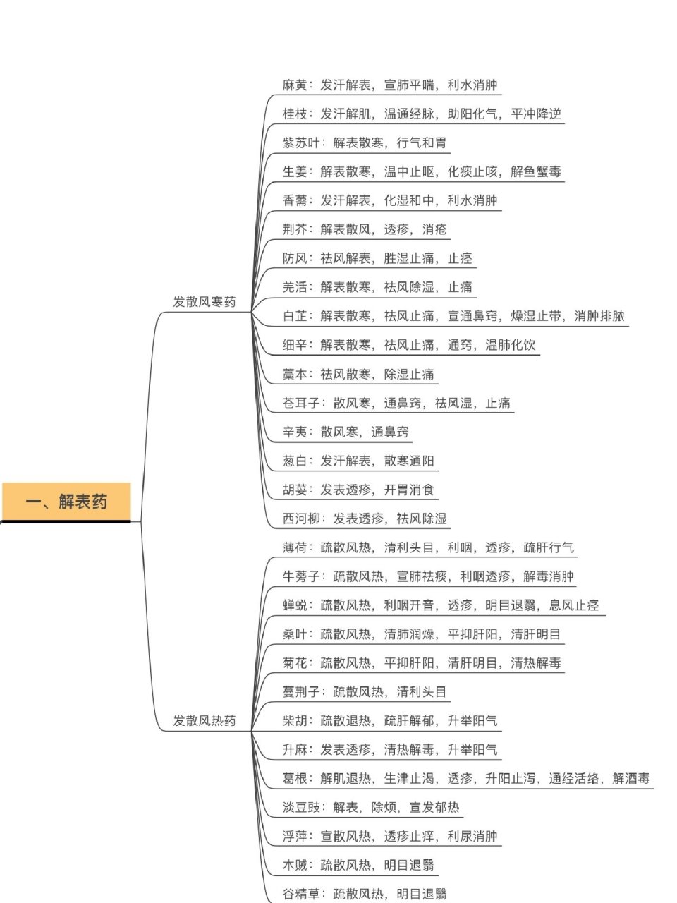 发散风寒药思维导图图片