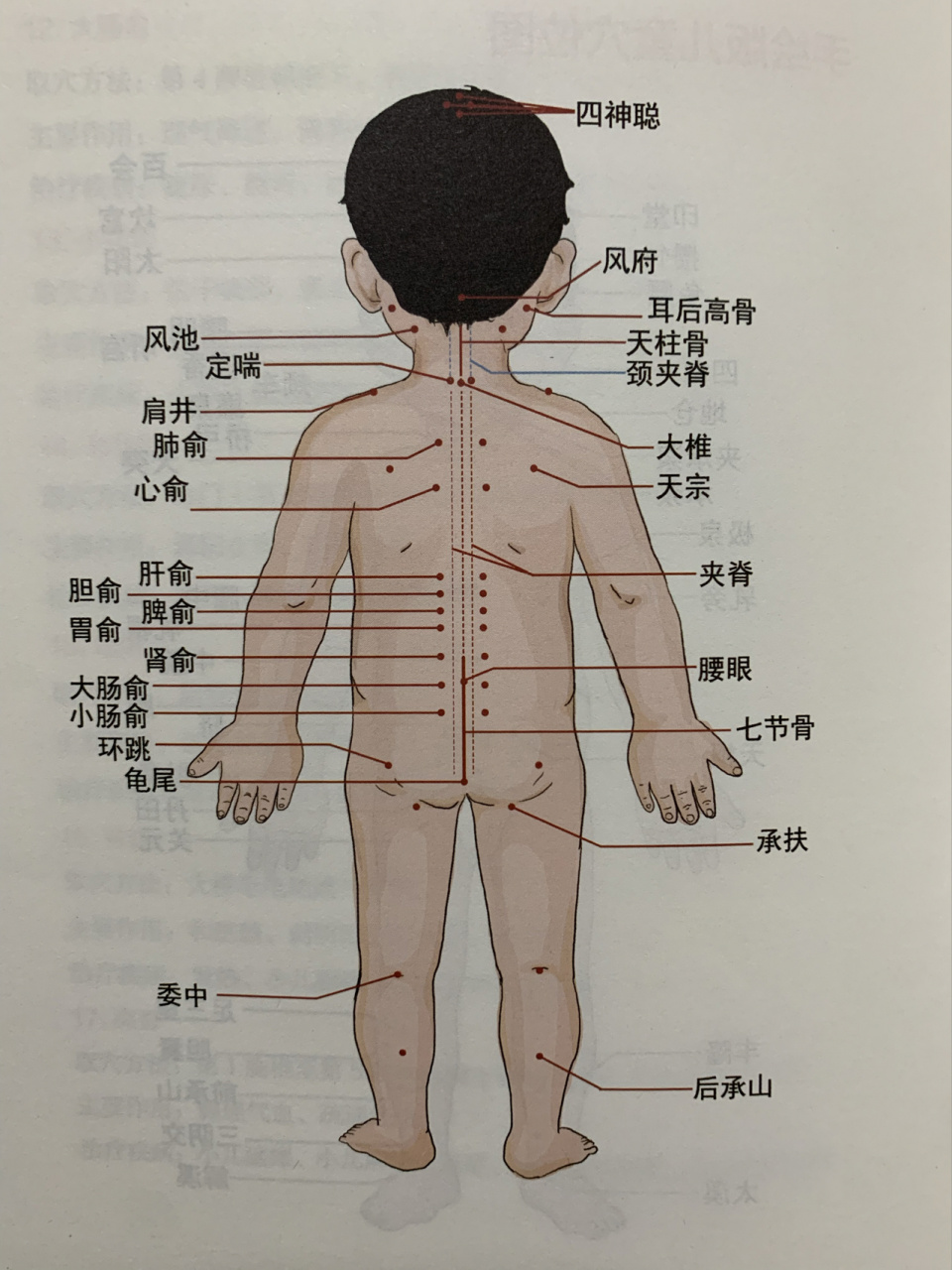 手绘版儿童穴位图