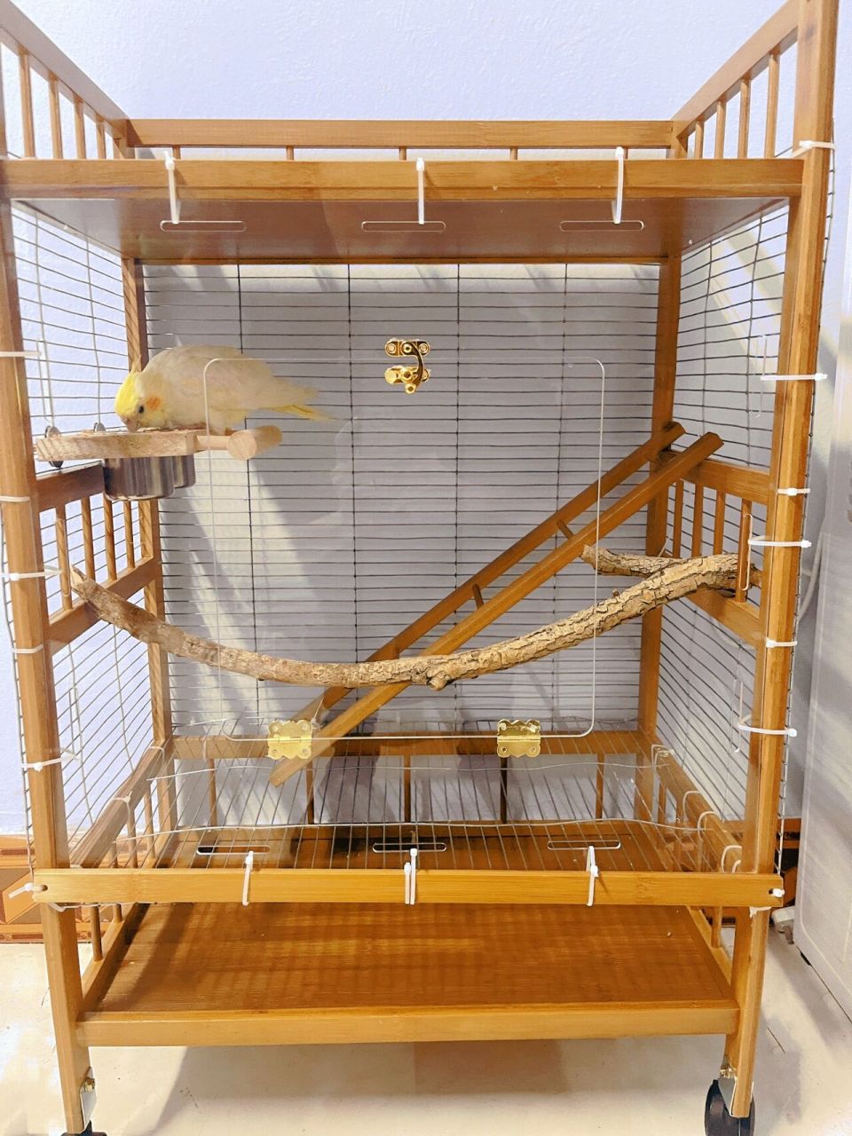 自制鸟笼, 梯子是鞋架的围栏改造的,树枝是捡的,一共花费一百多,第一