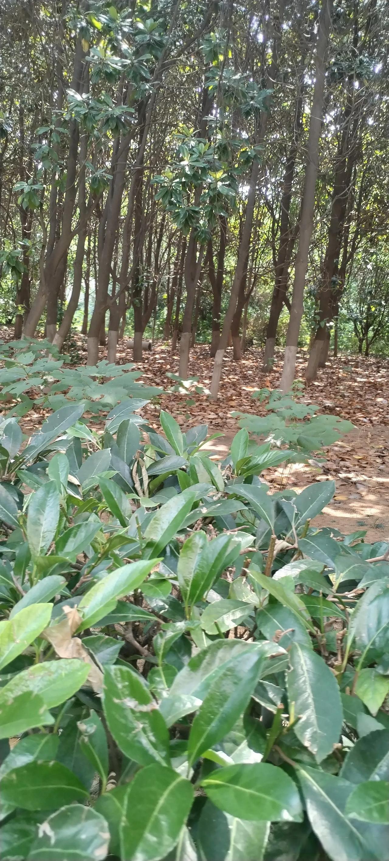 这个老员工90年代进厂,30多年的工龄了