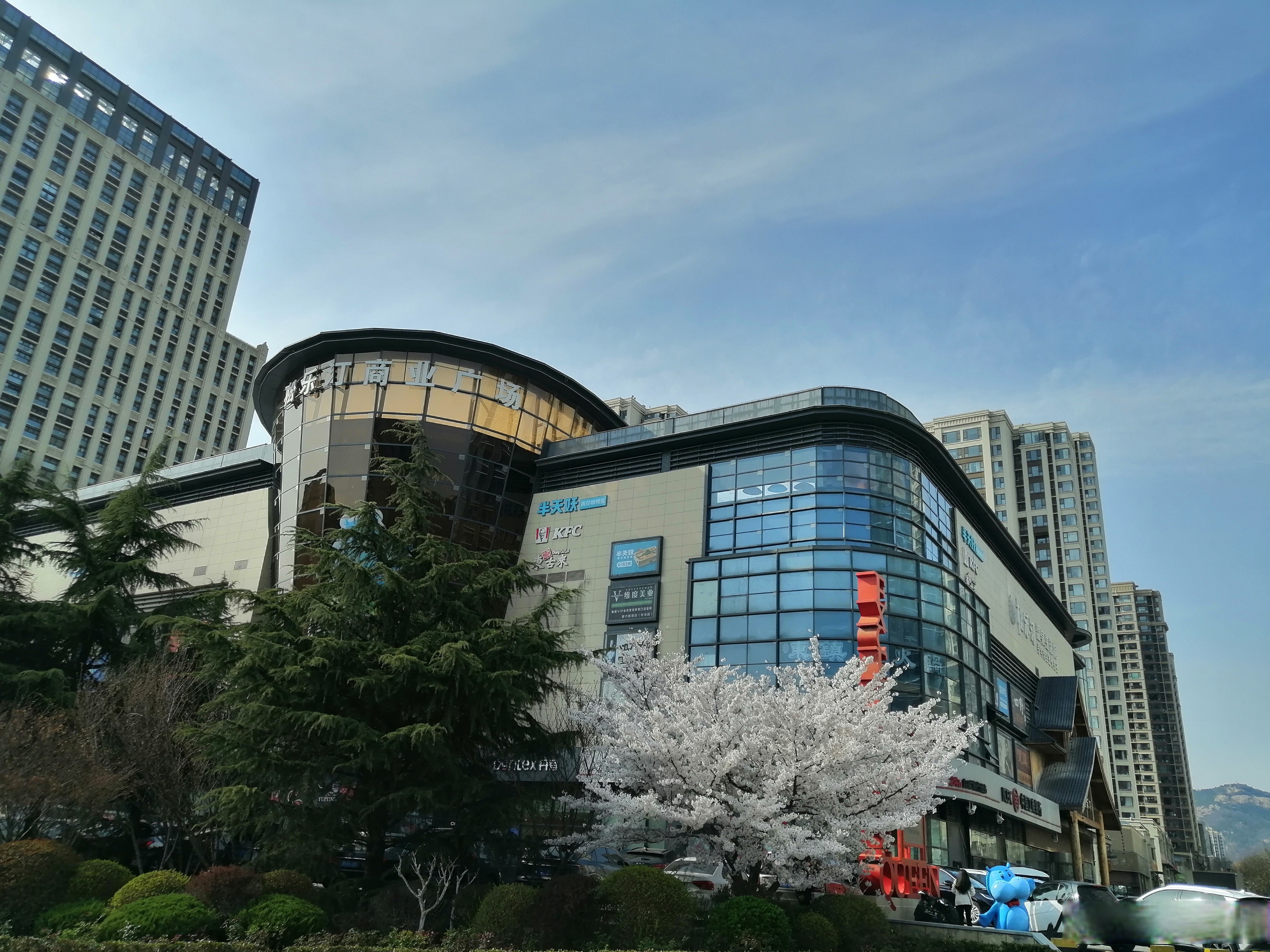 对于青岛,每年四月草长莺飞,山花烂漫