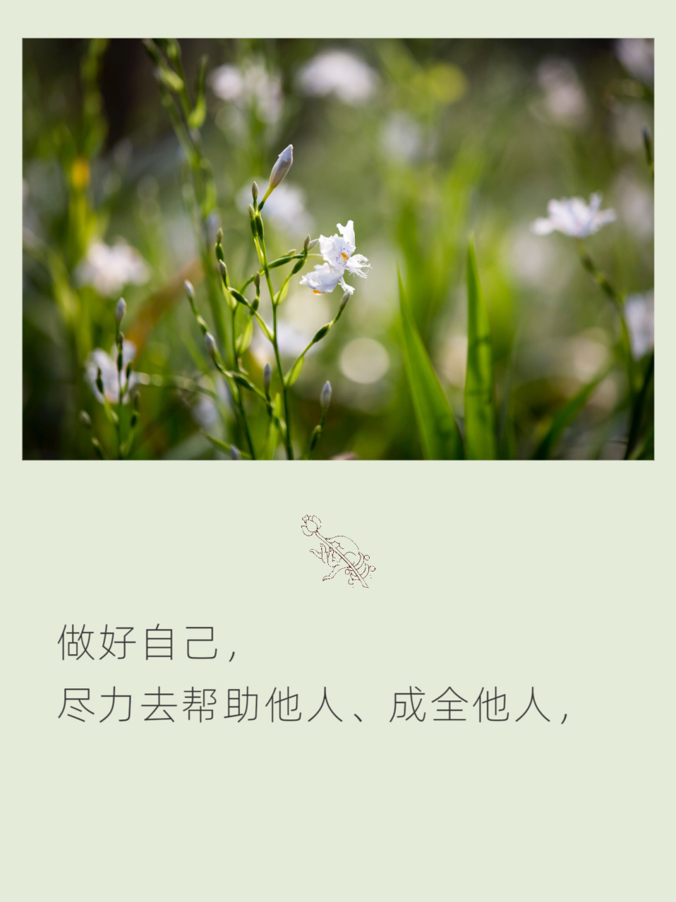 人生成功的秘诀 #禅悟人生