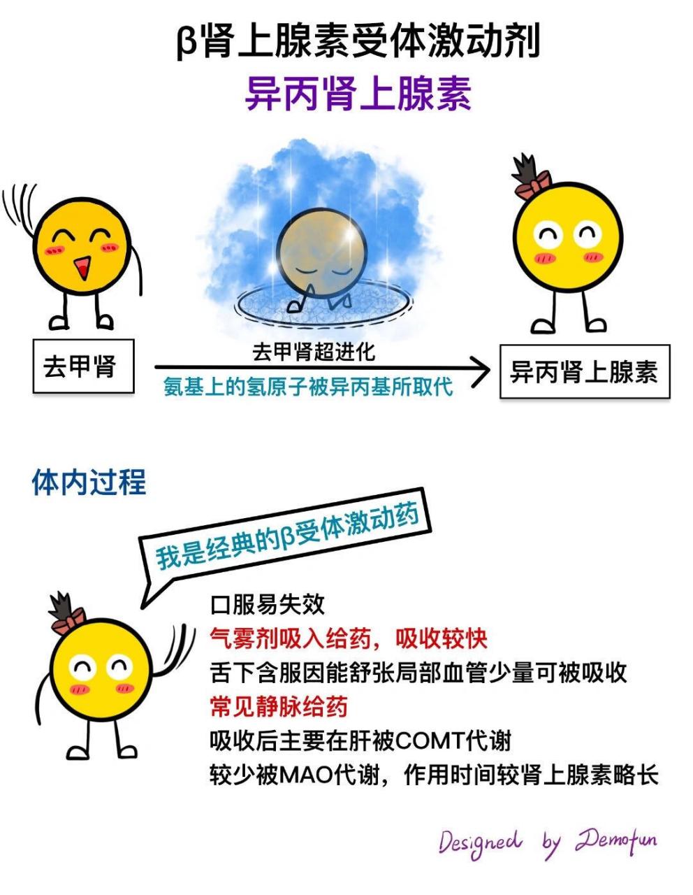 今日分享药理学知识异丙肾上腺素的药理作用
