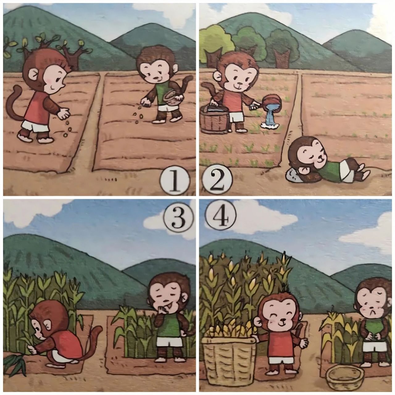 二年级看图写话《小猴种玉米》 山脚下住着两只可爱的小猴,它们是好