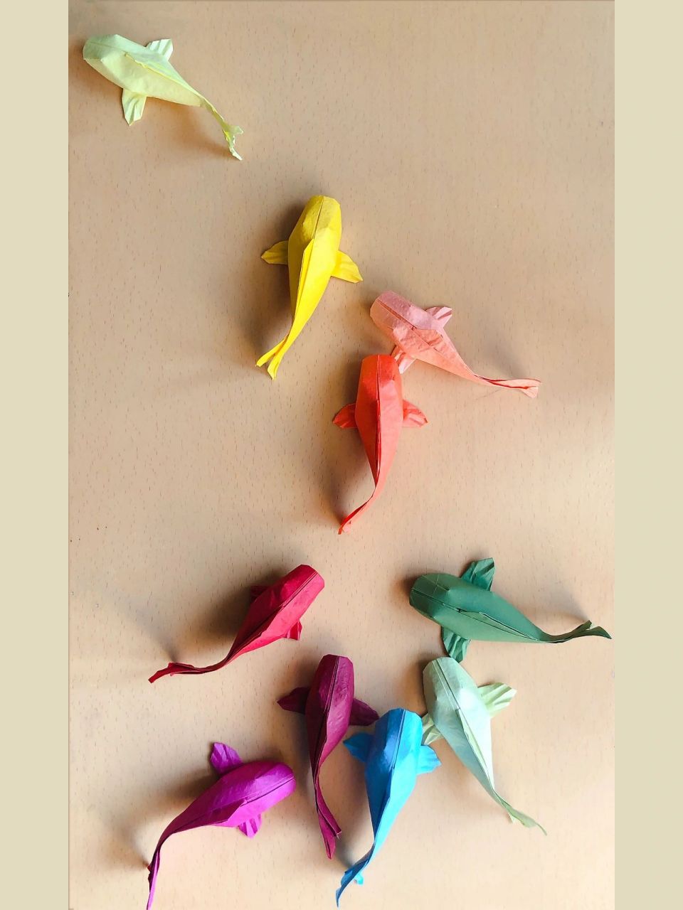 一纸折锦鲤 新年第一天,折七彩锦鲤祝大家事事顺意!