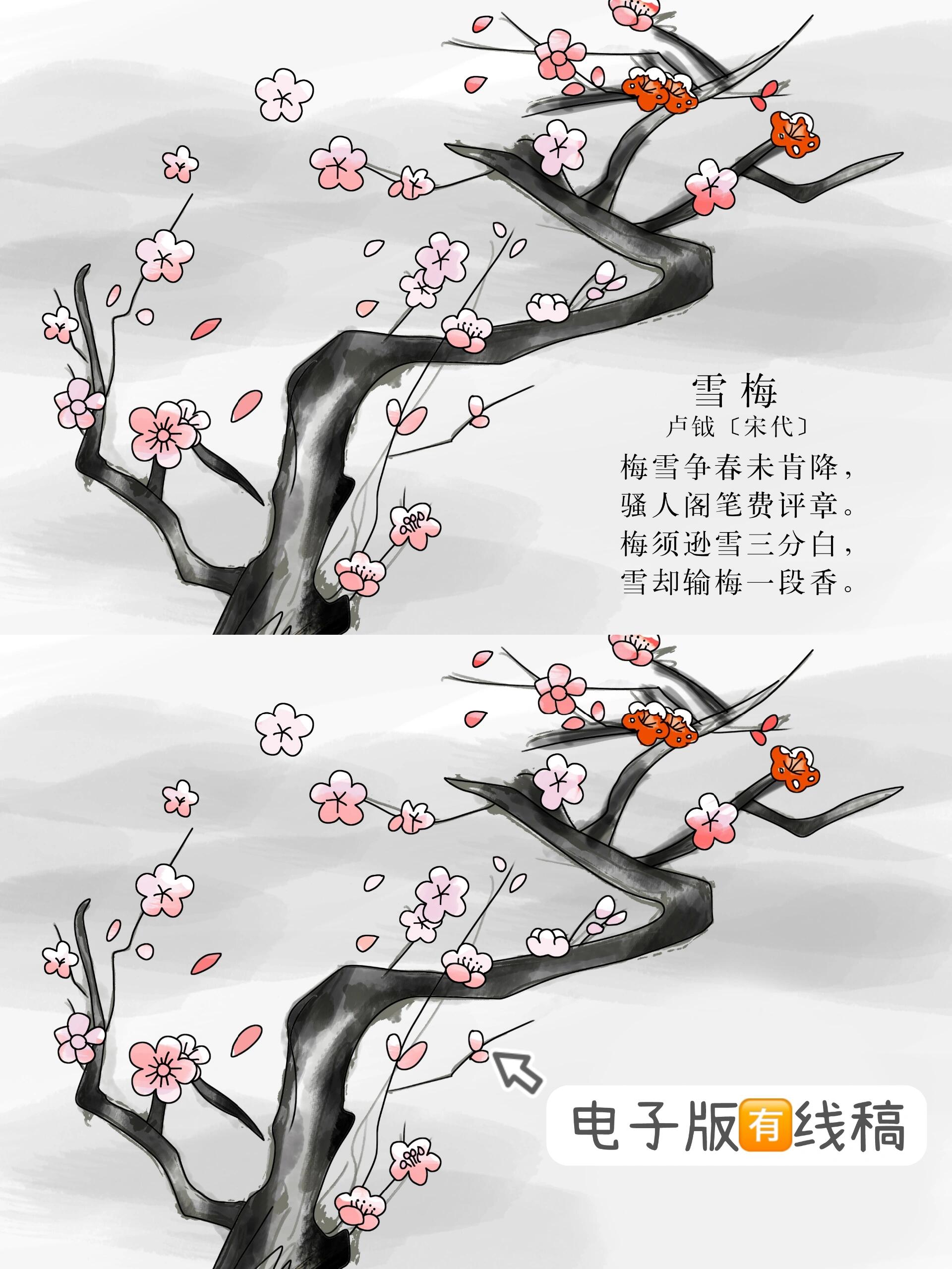 雪梅(梅花类)通用古诗配画手抄报有线稿