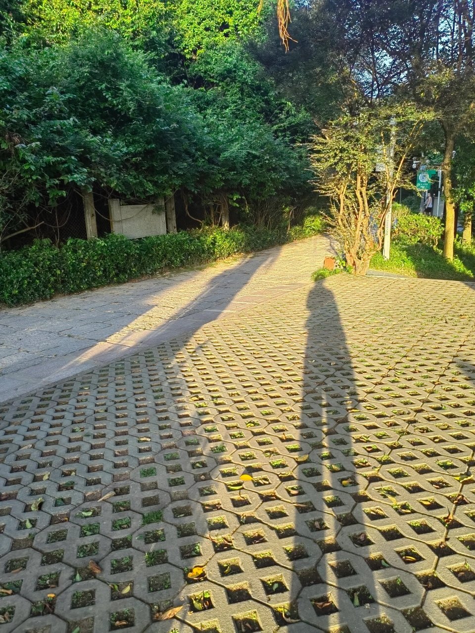 梅林绿道 长岭陂—梅林水库 独自徒步完成 三点十分开始从长岭陂出发