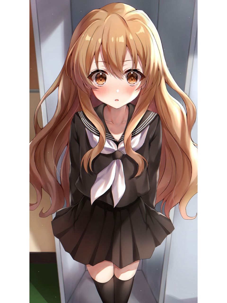 龙与虎——逢坂大河 掌中萌虎!0202020202020202