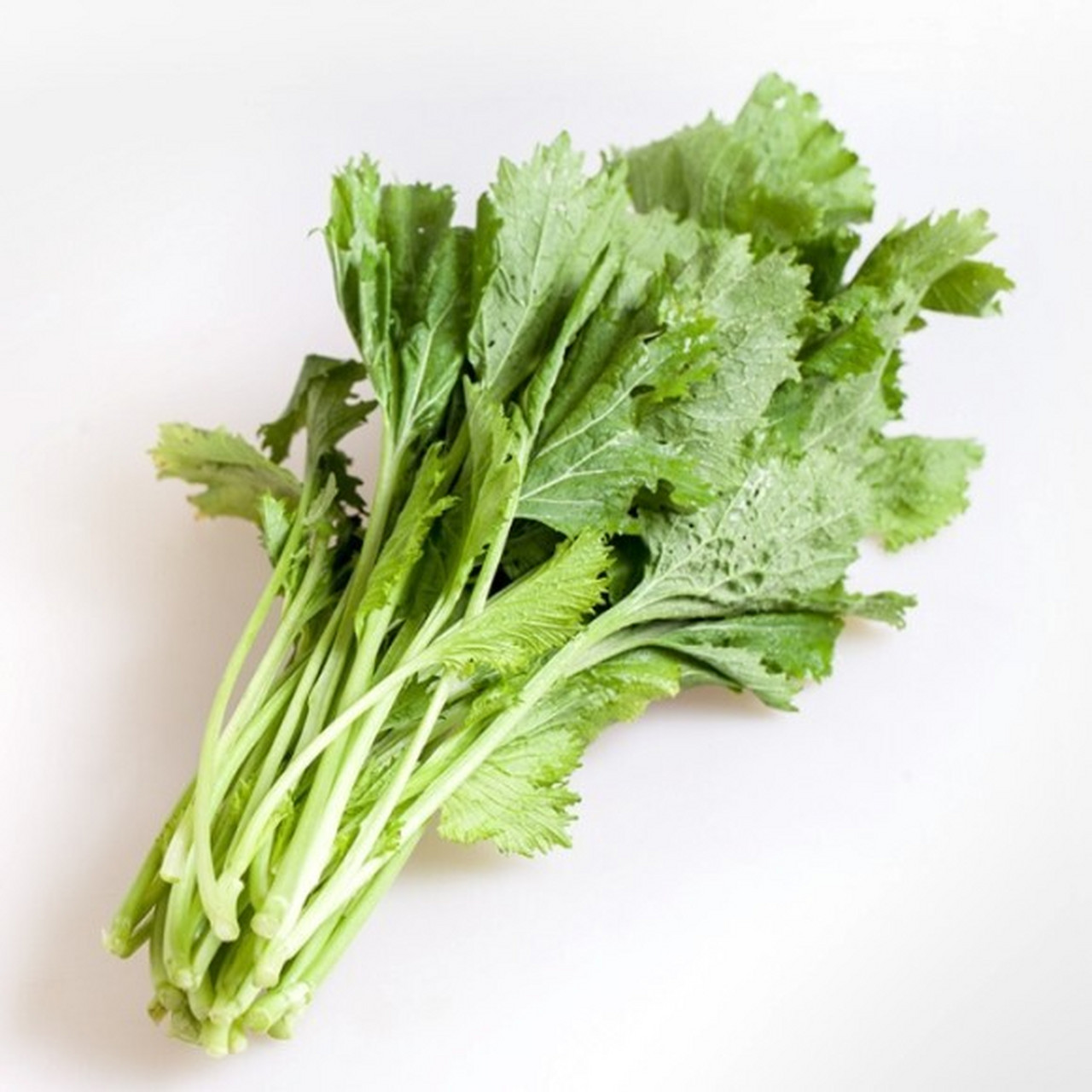 芥菜?芥末? 你们通常叫这个什么菜? 我们统称为青菜,清火必备良品.