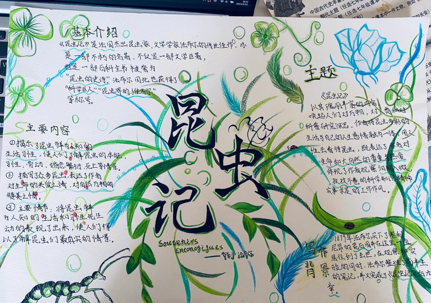 《昆虫记》手抄报完整版