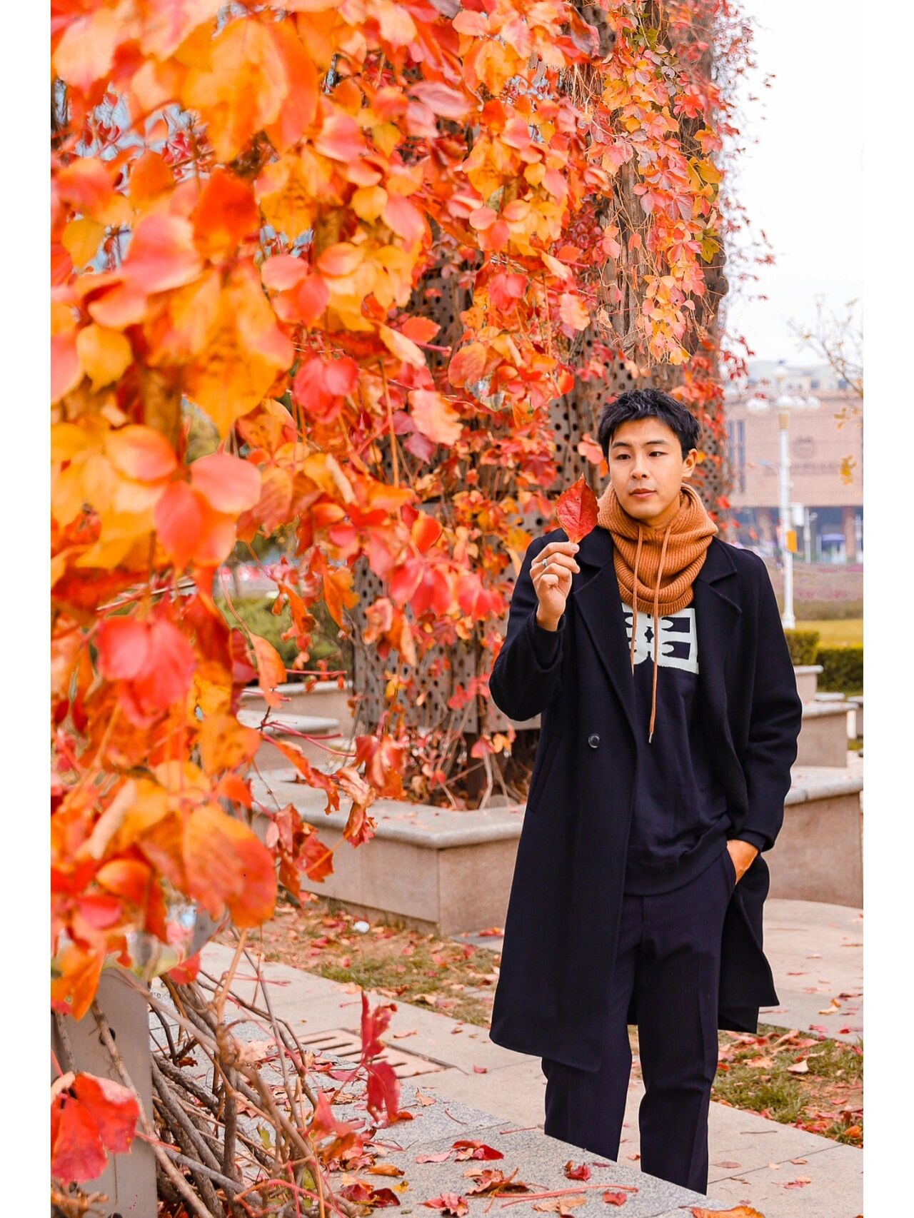 这里应该是今年秋天蕞惊艳我的瞬间 百米高的摩天大楼