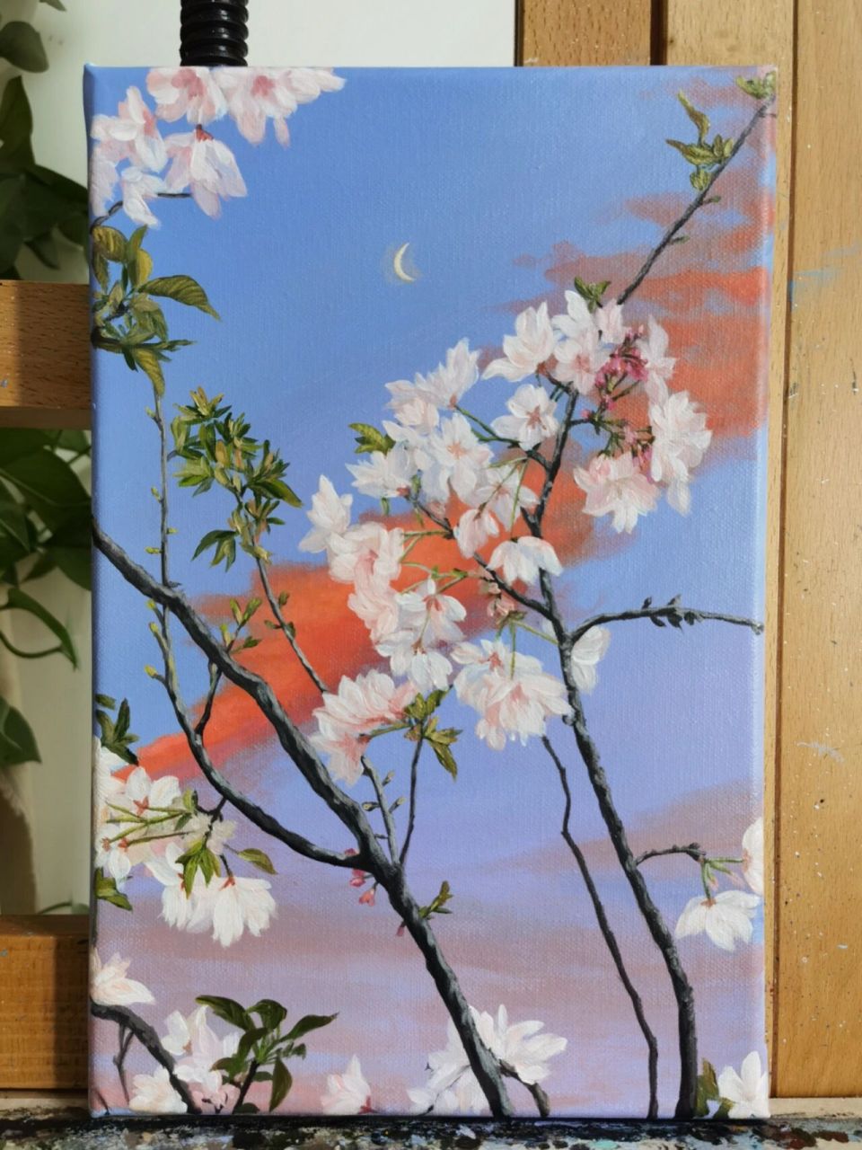 海棠花 /丙烯画/细节/步骤 花语:温和,美丽,快乐 配色:钴蓝,浅灰蓝