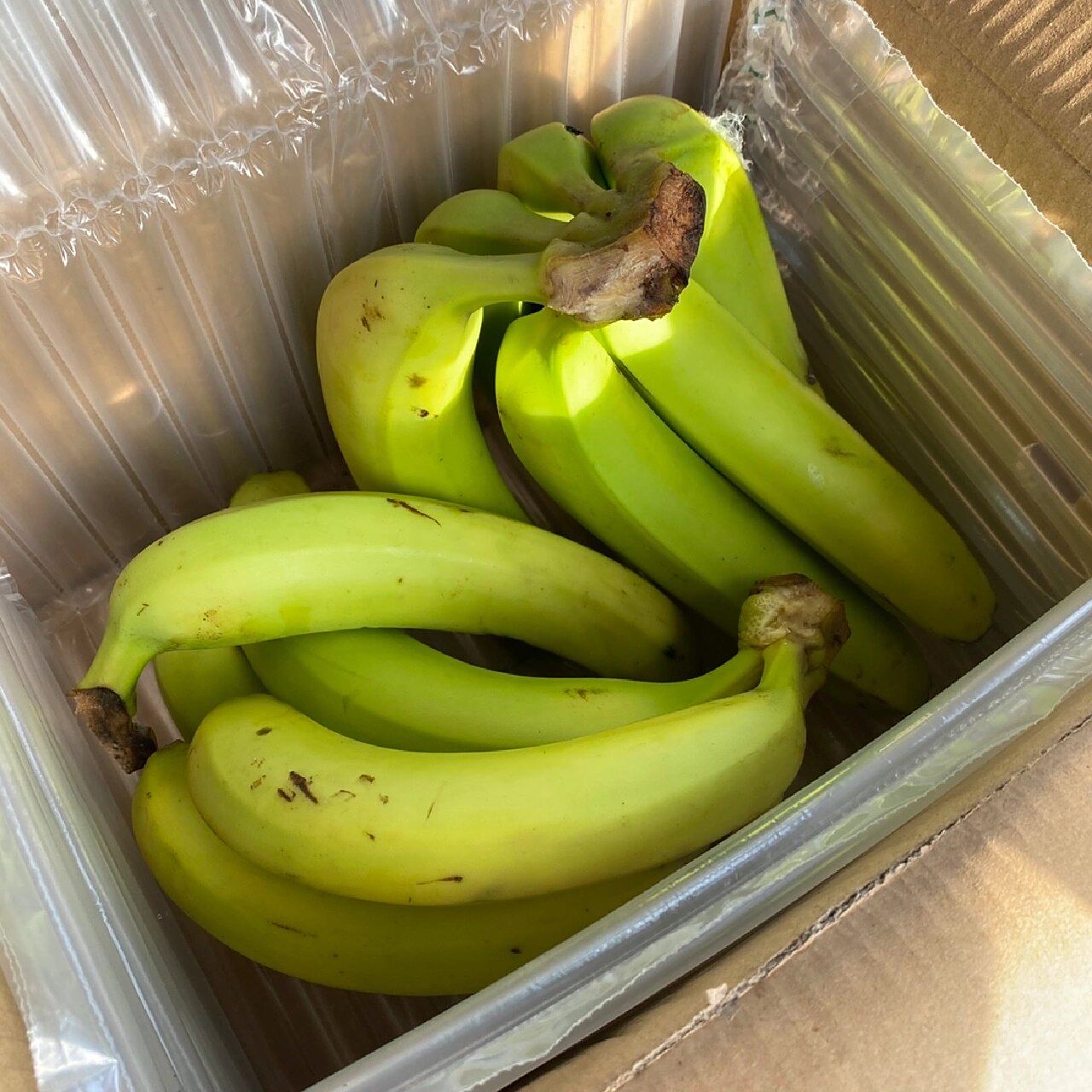 绿皮香蕉 | 能看也能吃的绿色香蕉94 94 你吃过绿皮香蕉吗?