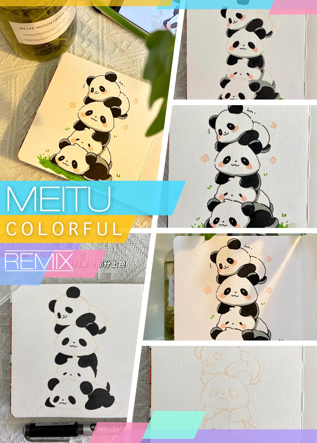 今天,我想和大家分享一下如何通过绘画来捕捉这些小家伙们的魅力.