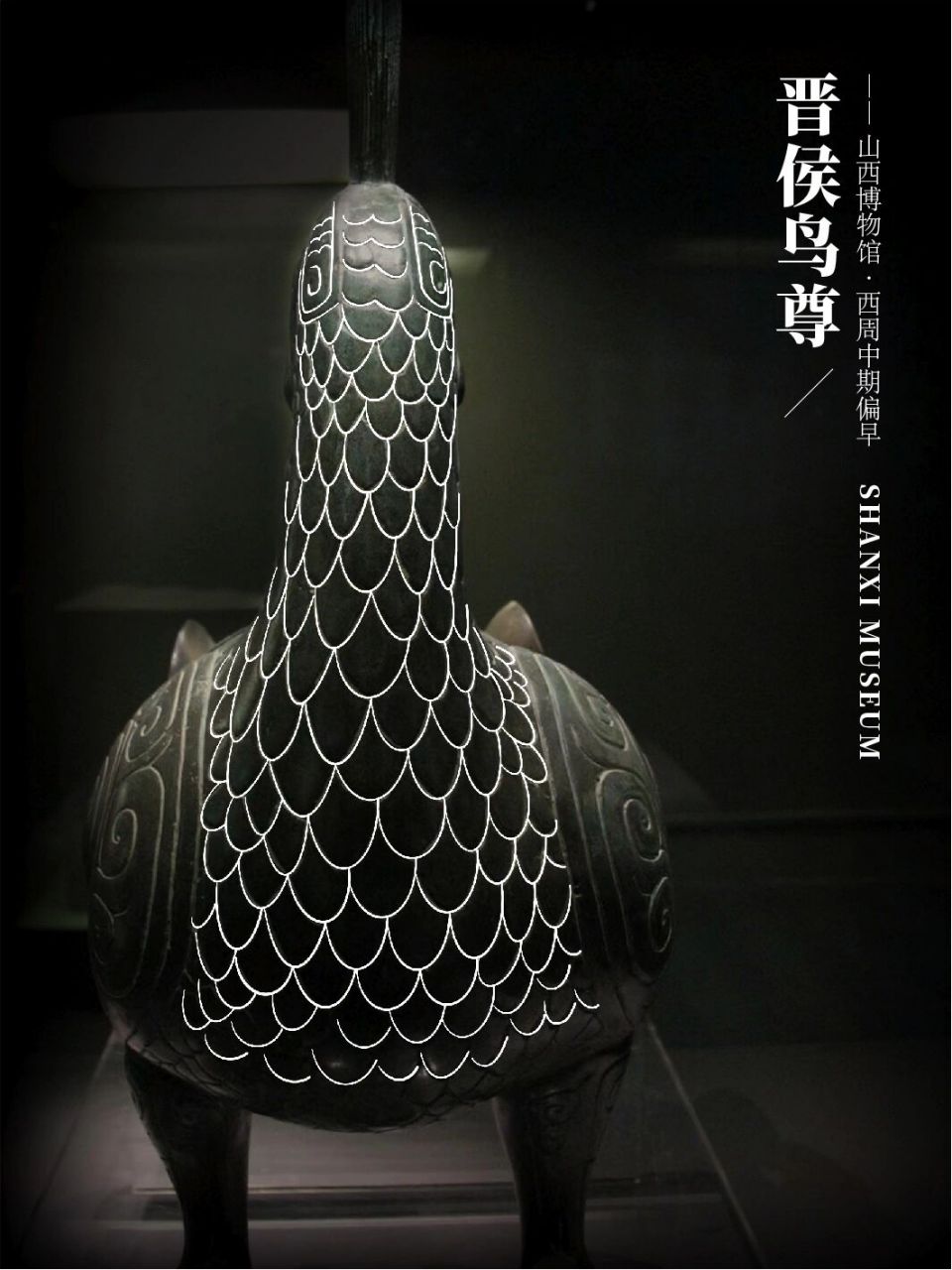 传统美学|青铜纹样|镇馆之宝—晋侯鸟尊 7915中文名称:晋候鸟尊