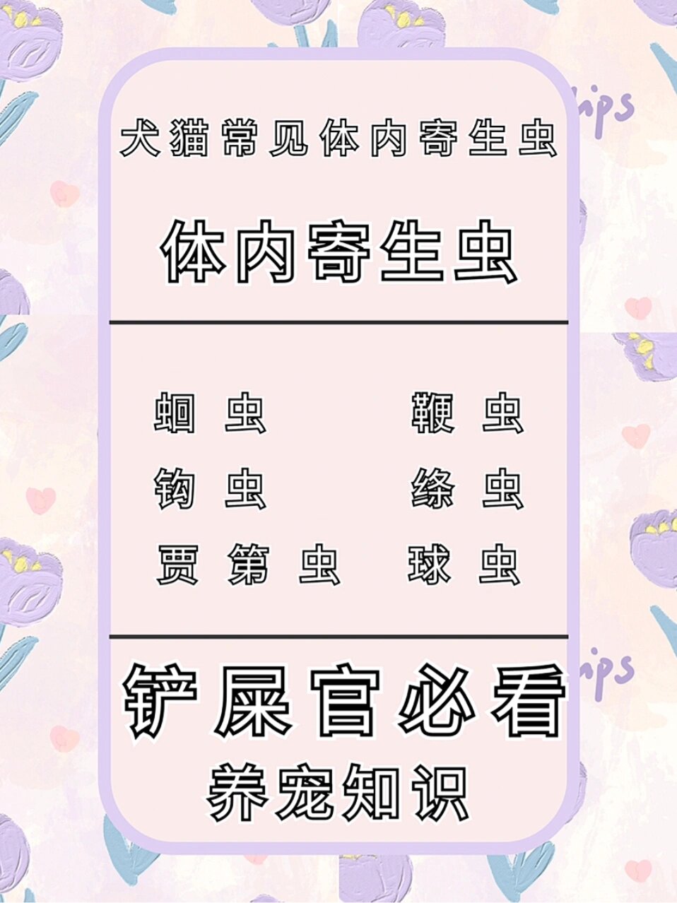 犬猫常见体内寄生虫