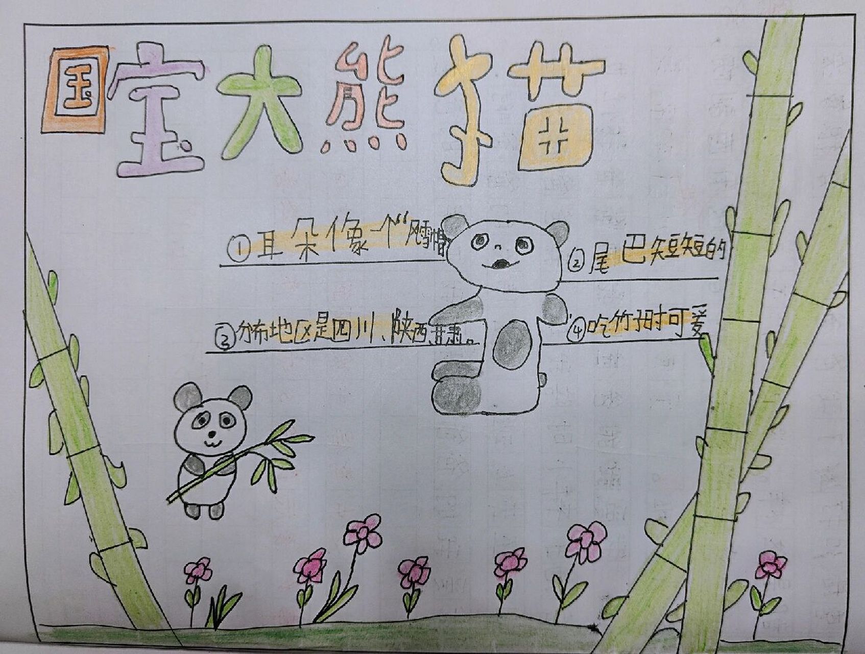 国宝大熊猫(思维导图)