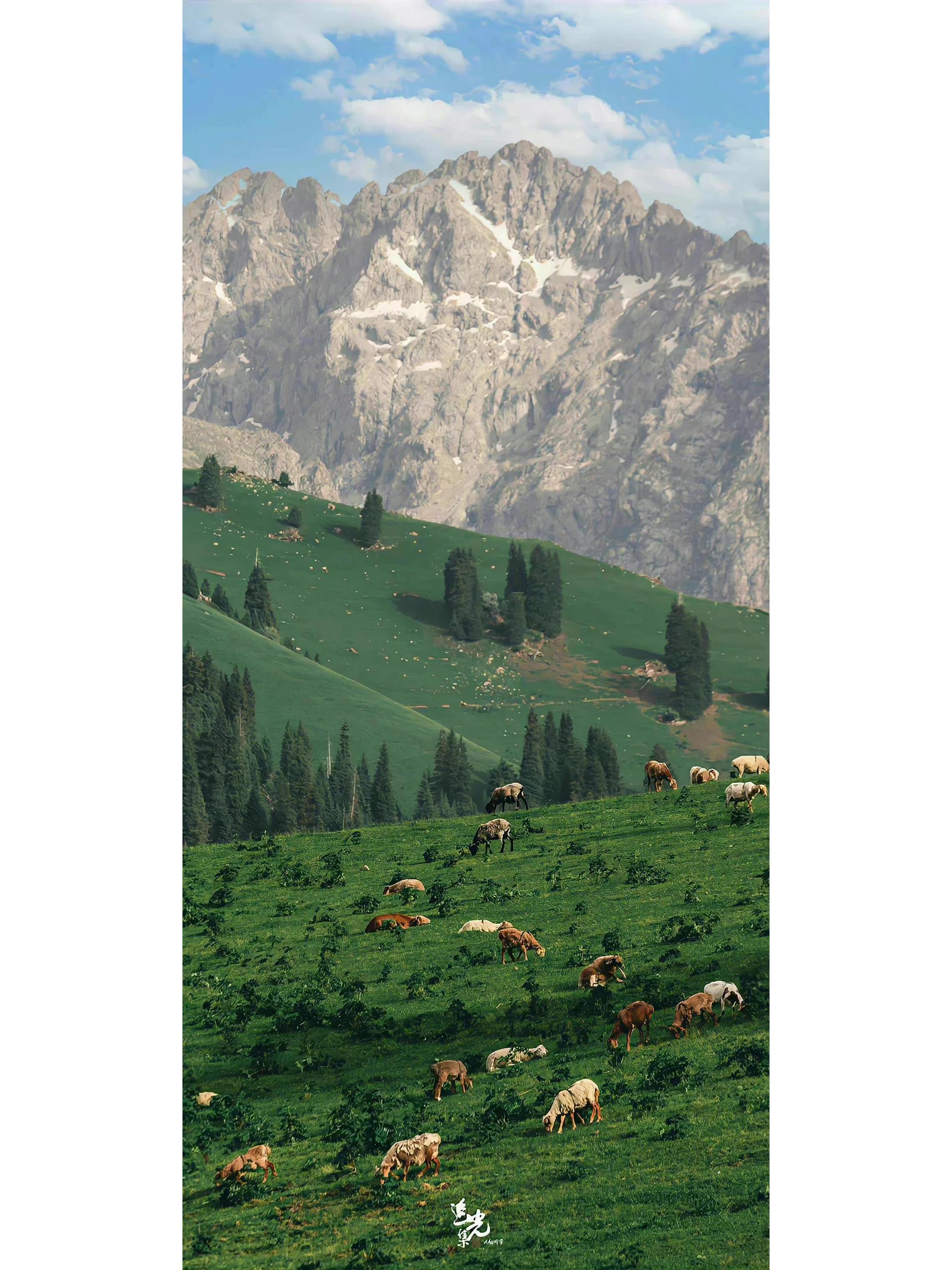 绿色系壁纸:绿意盎然 低迷即将散去,美好正在萌芽 前路漫漫愿你南风拂