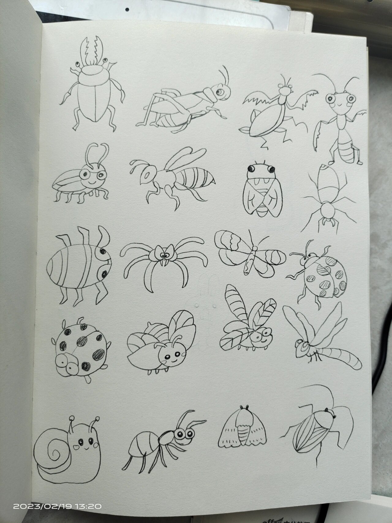 昆虫记9407简笔画