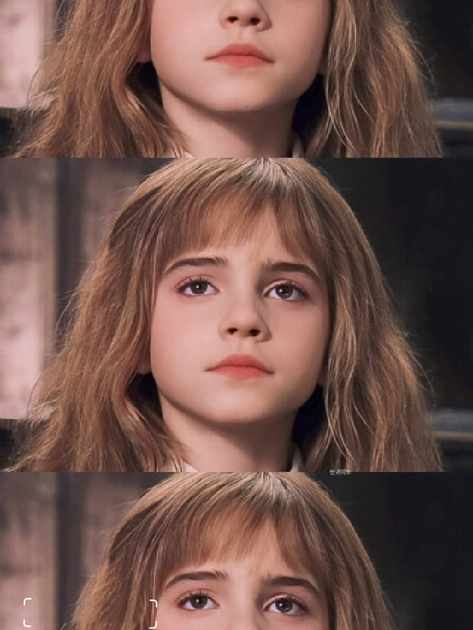 《哈利波特》人物资料(赫敏篇) hermione jane grange 赫敏·格兰杰