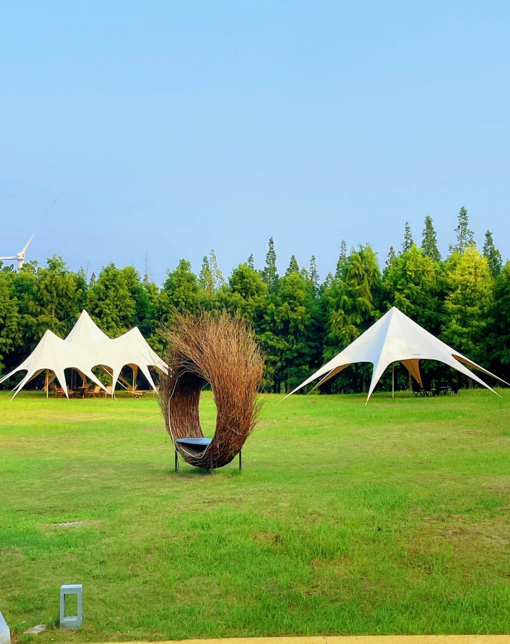 盐城东台两日游 第一天:中华麋鹿园,到了先参观大门左手边博物馆.