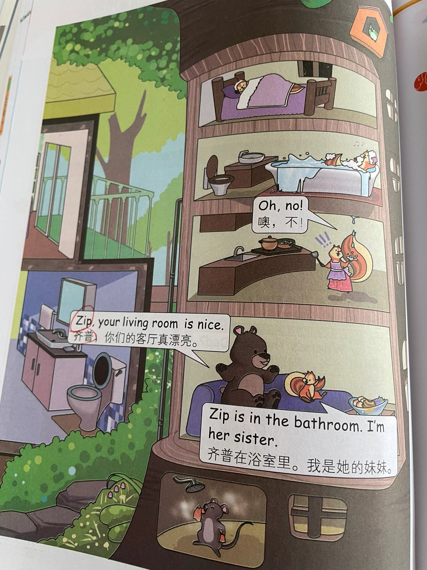 zip和zoom的中文名到底叫啥 小学课本里的小松鼠和小熊的名字到底叫啥