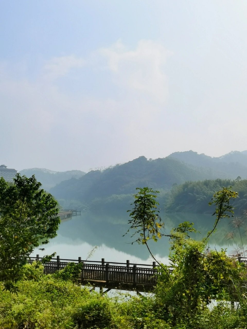 惠州(麻榨十里水湾风景)泡茶赏景 山林翠竹～ 67鸟鸣竹排～ 67十
