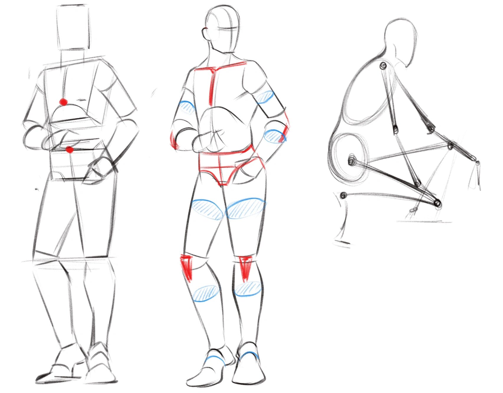 速写人体体块详解课件分享