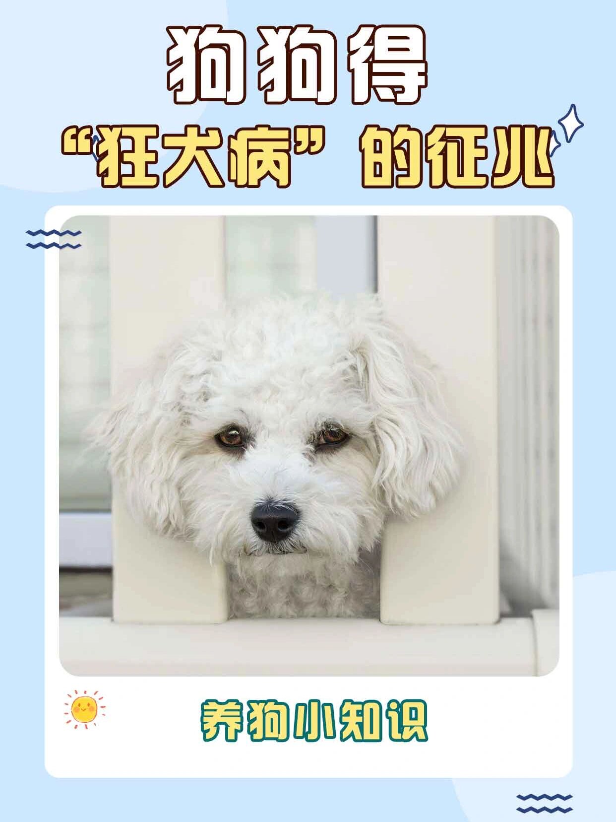 狂犬病发病症状前兆图片