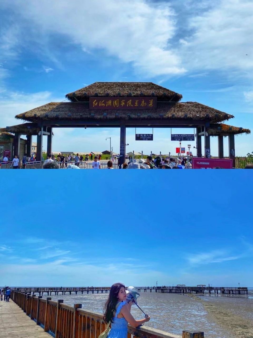 景区|第23站红海滩国家风景廊道 门票:110元/人 位置:辽宁省盘锦市