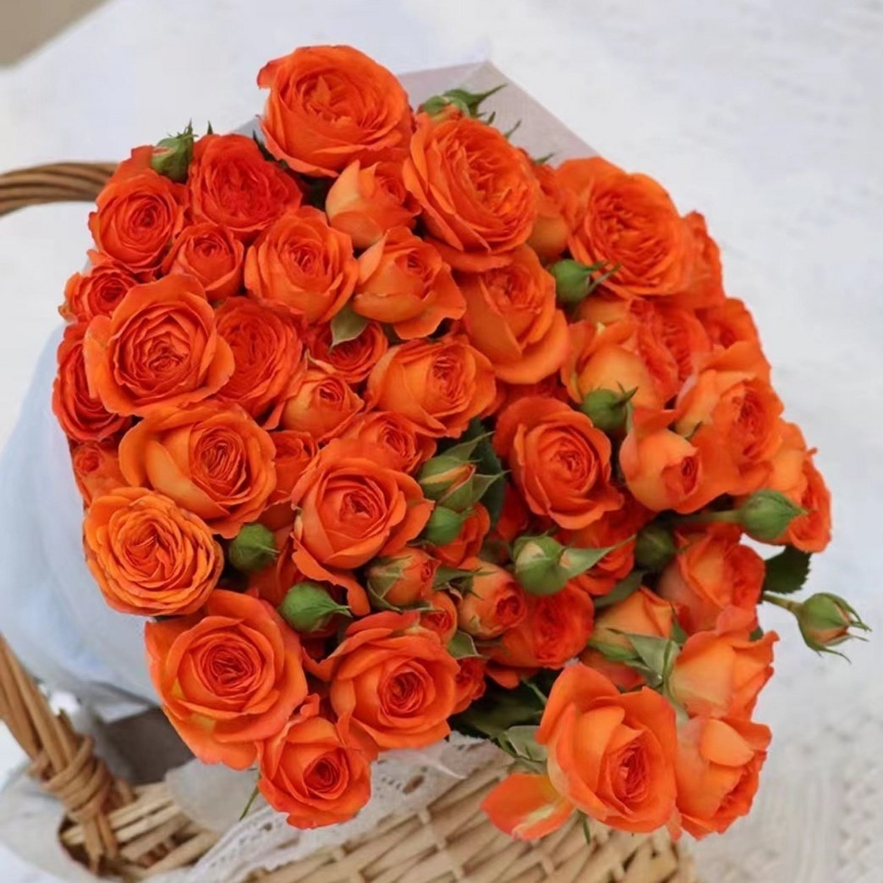 多头泡泡玫瑰50-60朵,18.