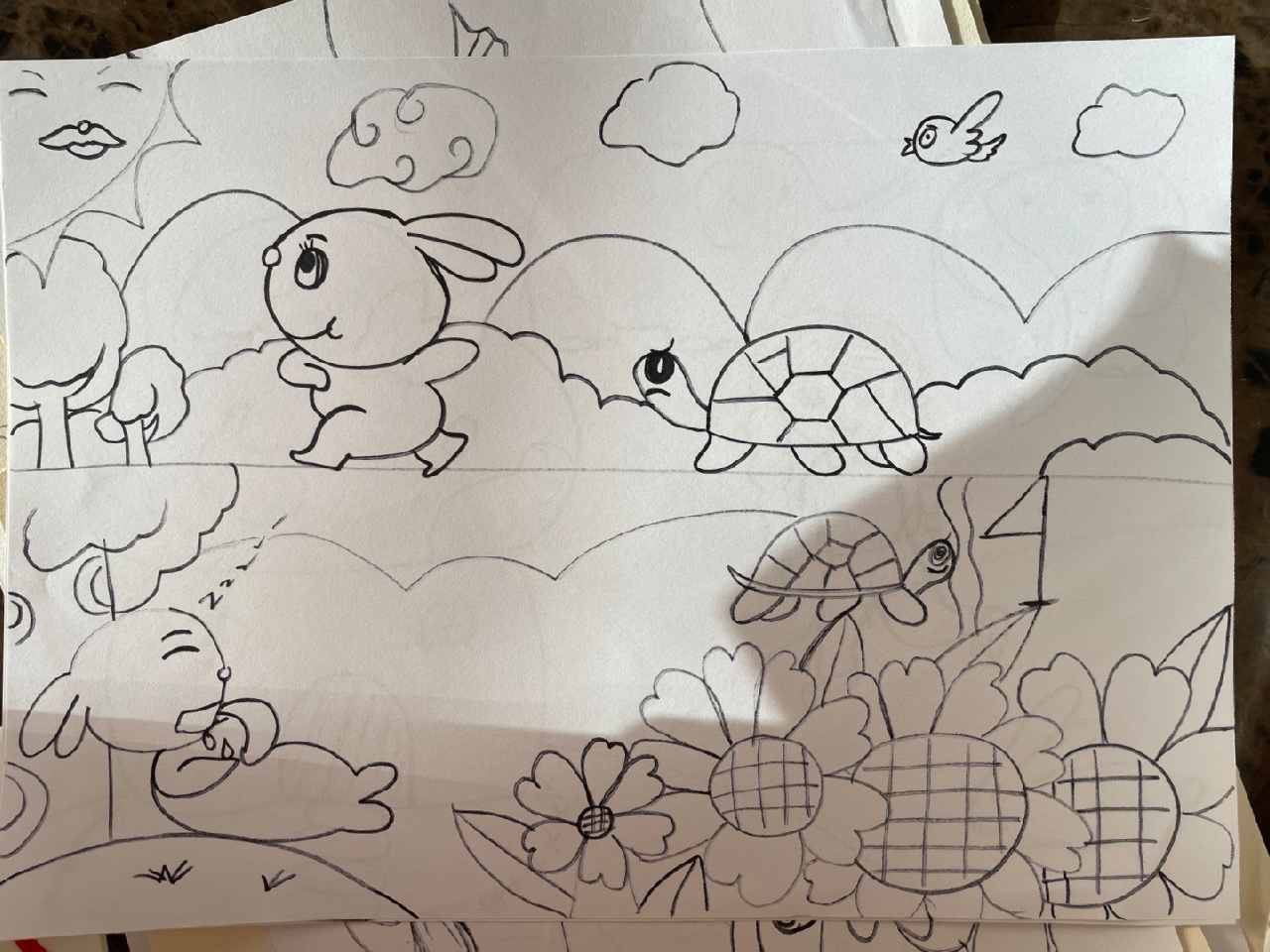 幼师考编 主题简笔画|龟兔赛跑