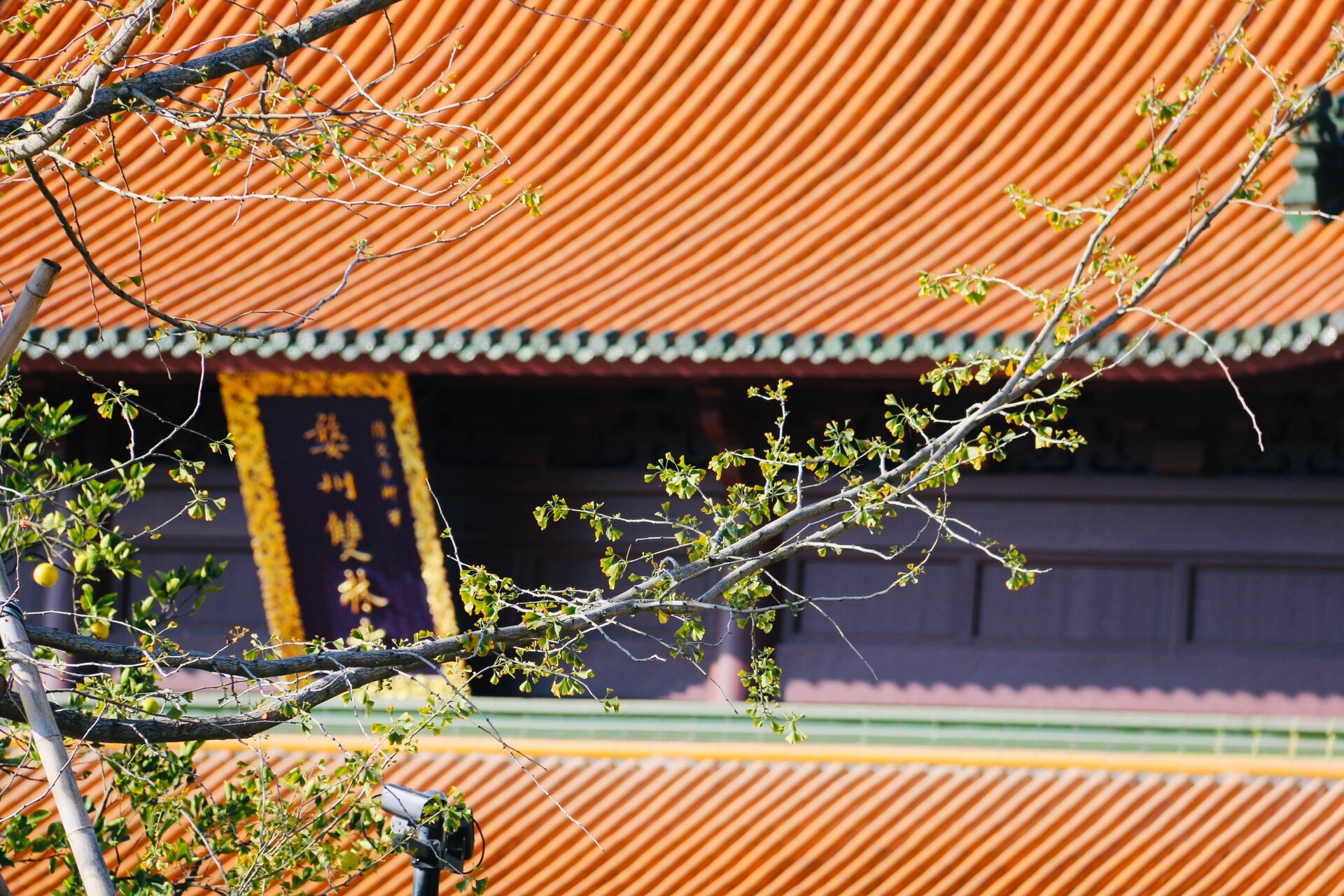 义乌双林寺"天下第三,江浙第一"千年古寺 99门票:9815,拥有五百