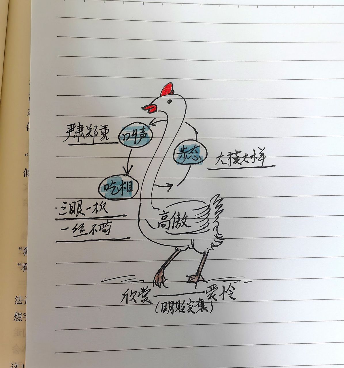 四下|白鹅|板书设计