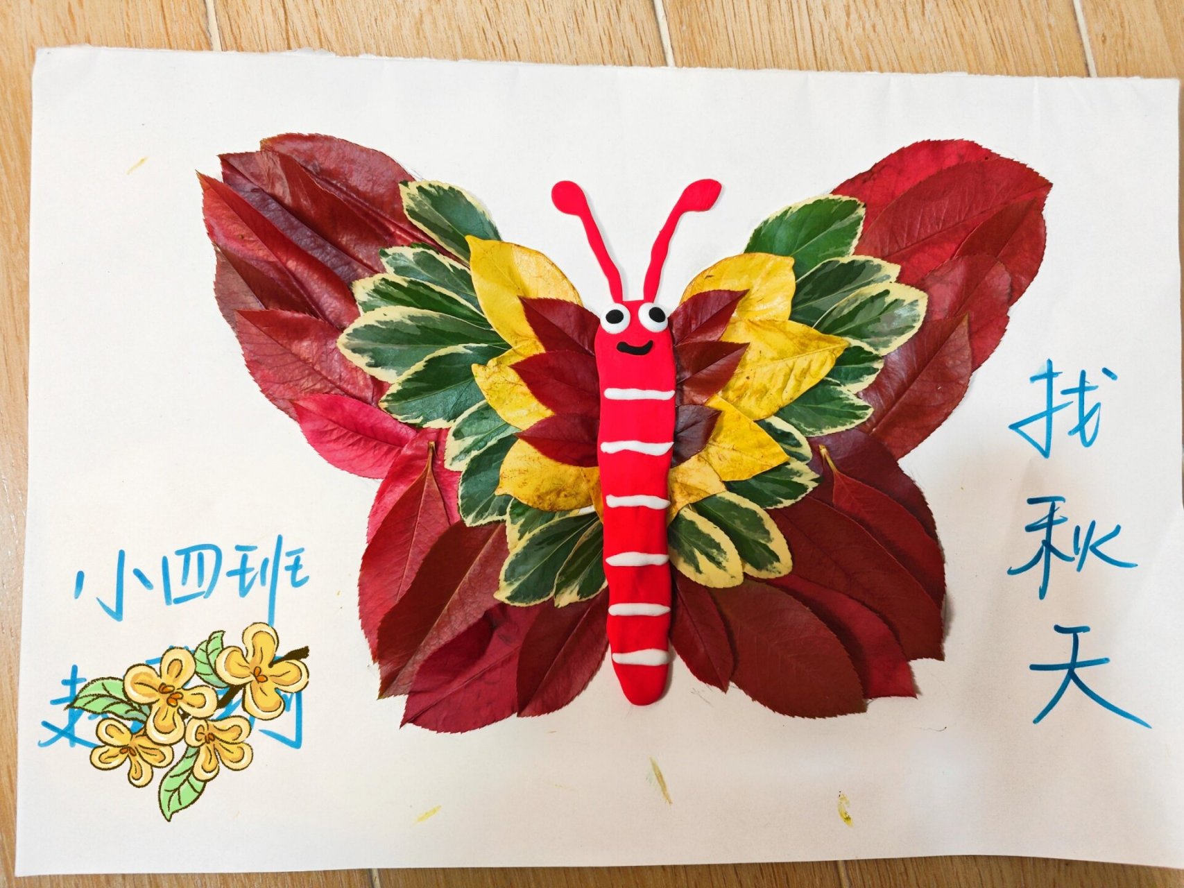 幼儿园手工作业:找秋天 幼儿园"找秋天"主题活动,周末带娃到户外寻找