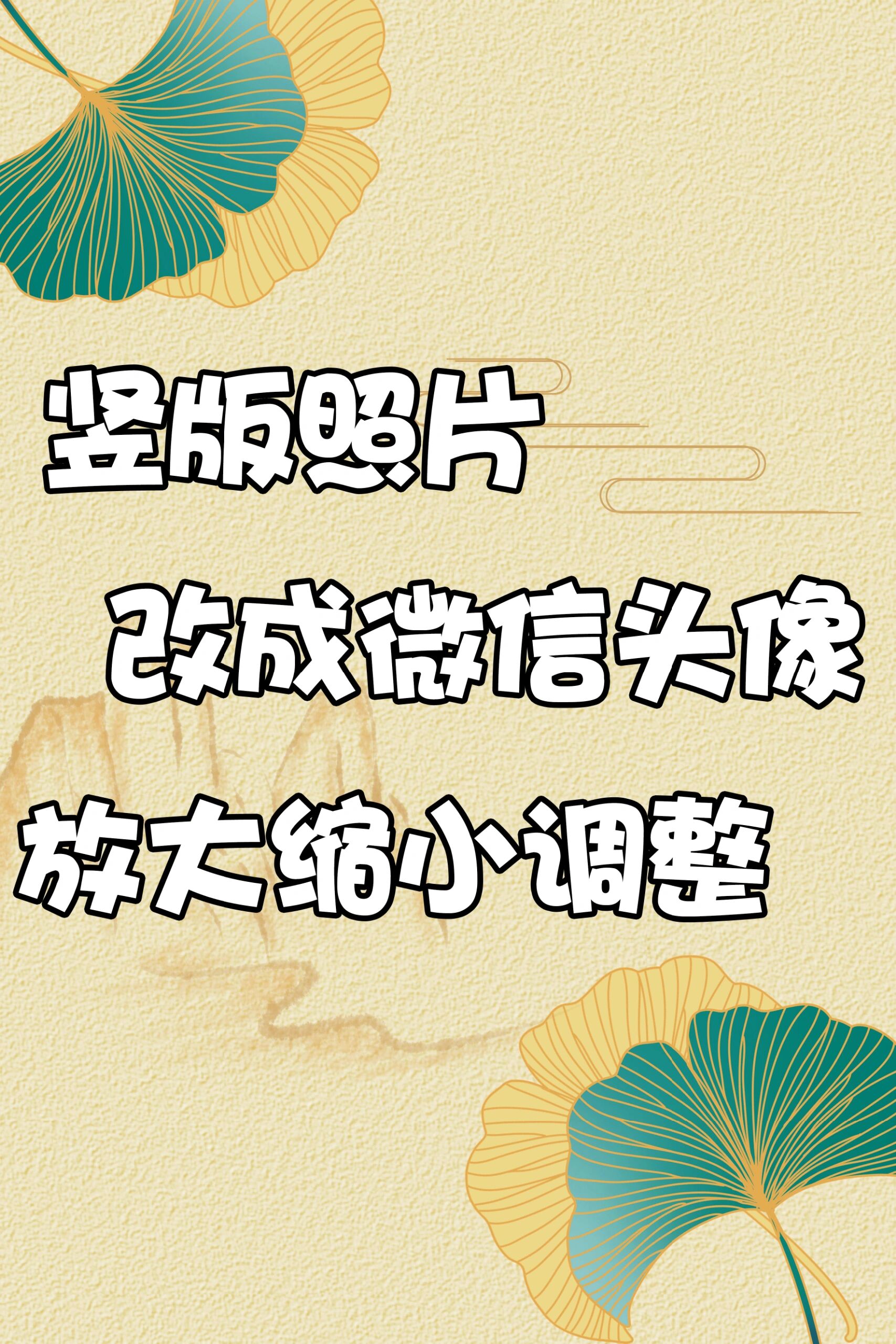 竖版照片改成微信头像尺寸放大缩小尺寸比例