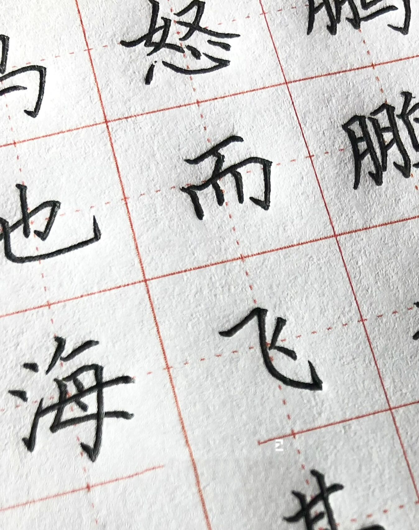 手写丨硬笔楷书 《逍遥游·北冥有鱼