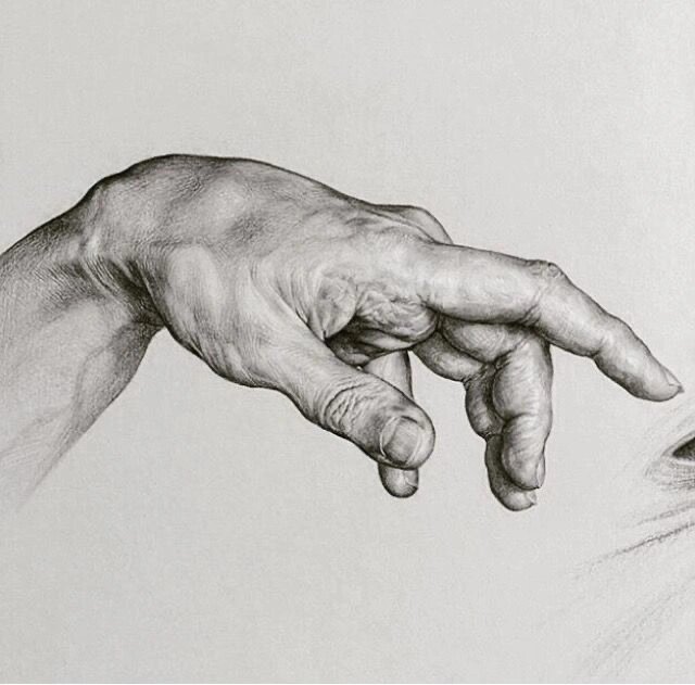 一些关于手✋的素描,对天美校考初选有帮助👍 关于手的素描