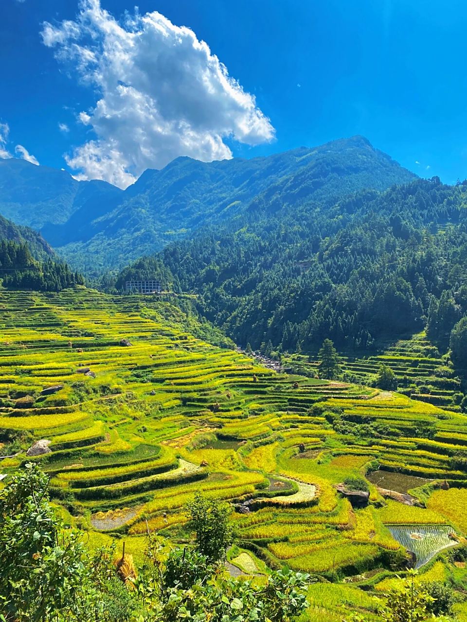 柳州周边游 | 走进元宝山下小桑村 72 小桑梯田地处融水元宝山里的