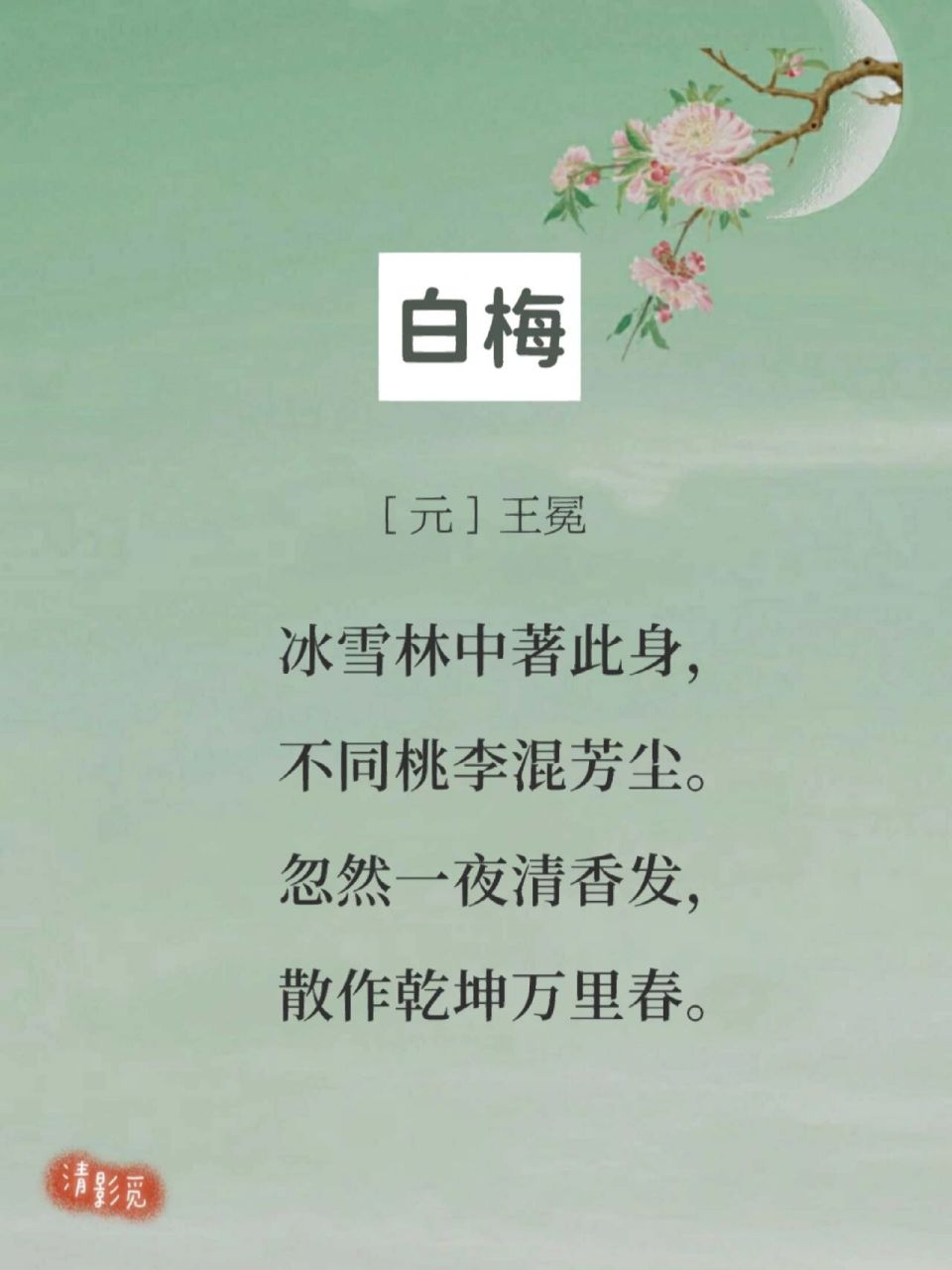 白梅王冕拼音版古诗图片