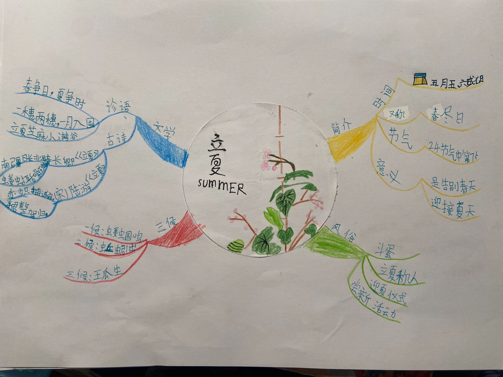 二十四节气:立夏思维导图 为了淼同学加油画节气思维导图,我们俩一起