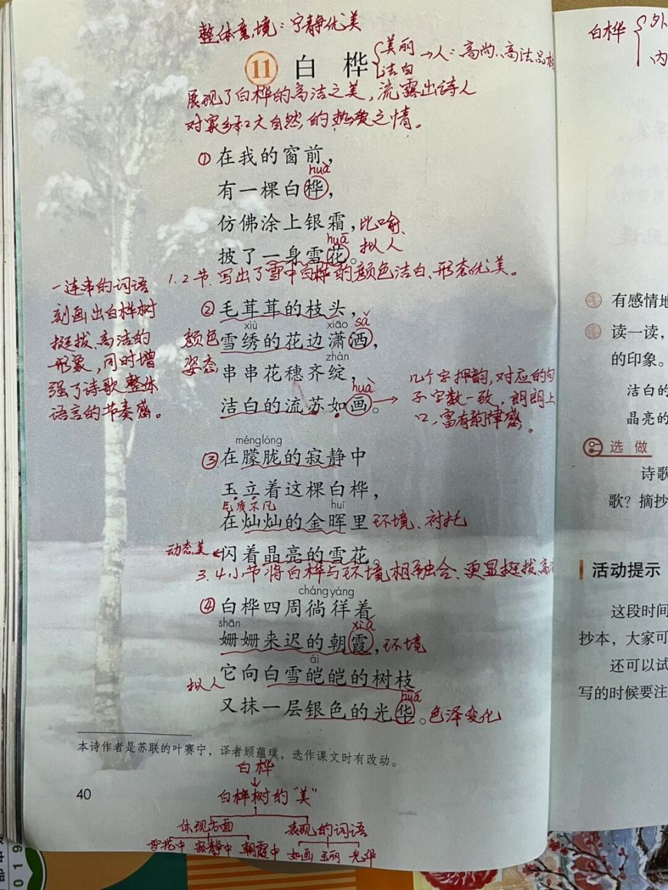 四年级下册11《白桦》预习批注 #语文笔记# #教师备课# #预习笔记