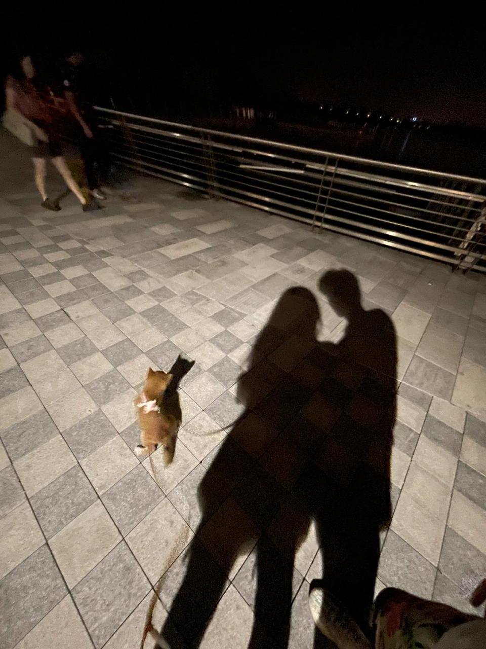 分享|一组背影情侣头像 分享|一组背影情侣头像