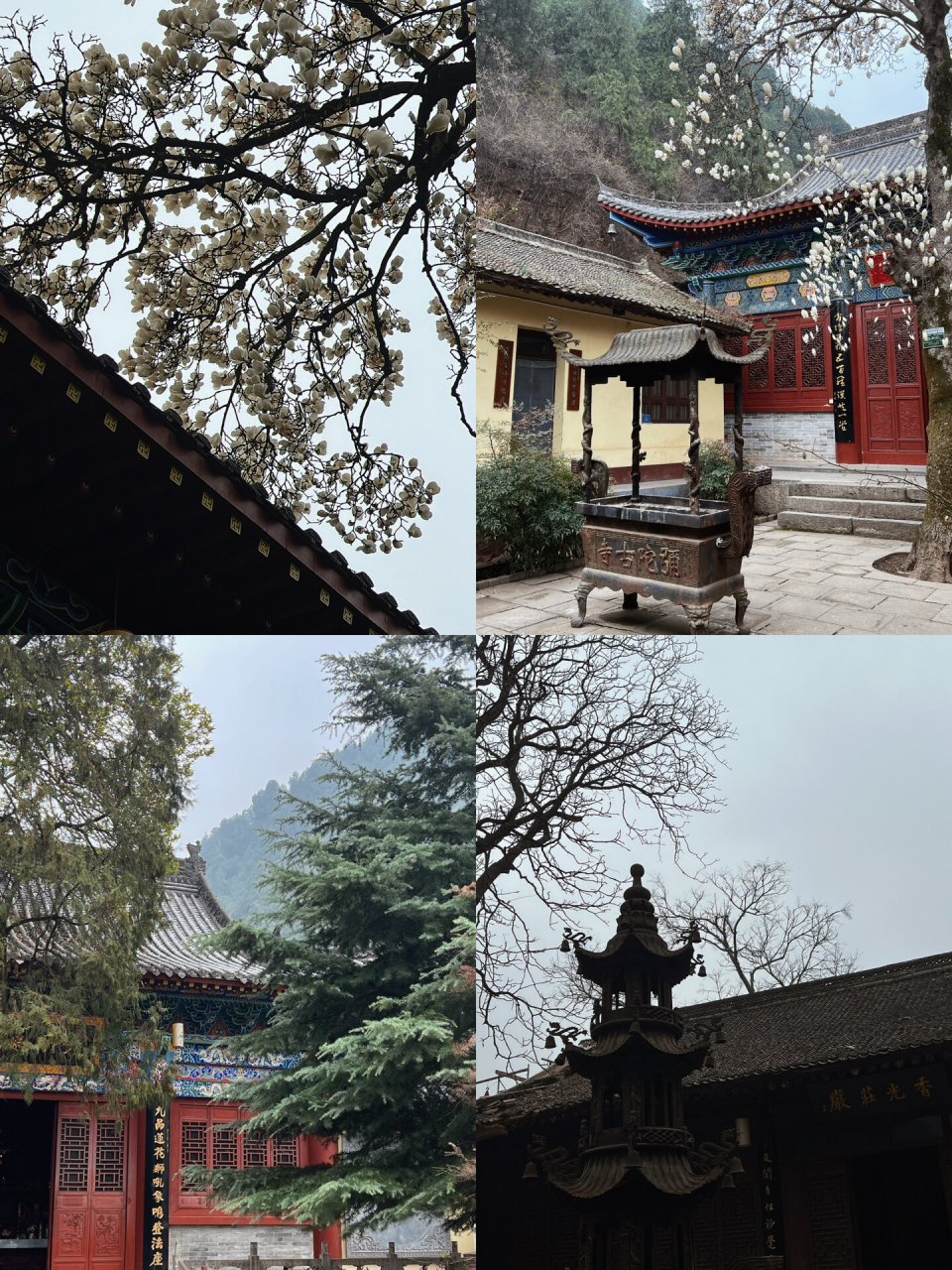 " 	 弥陀古寺,位于陕西省西安市长安区五台乡境内,创建于隋朝,盛于