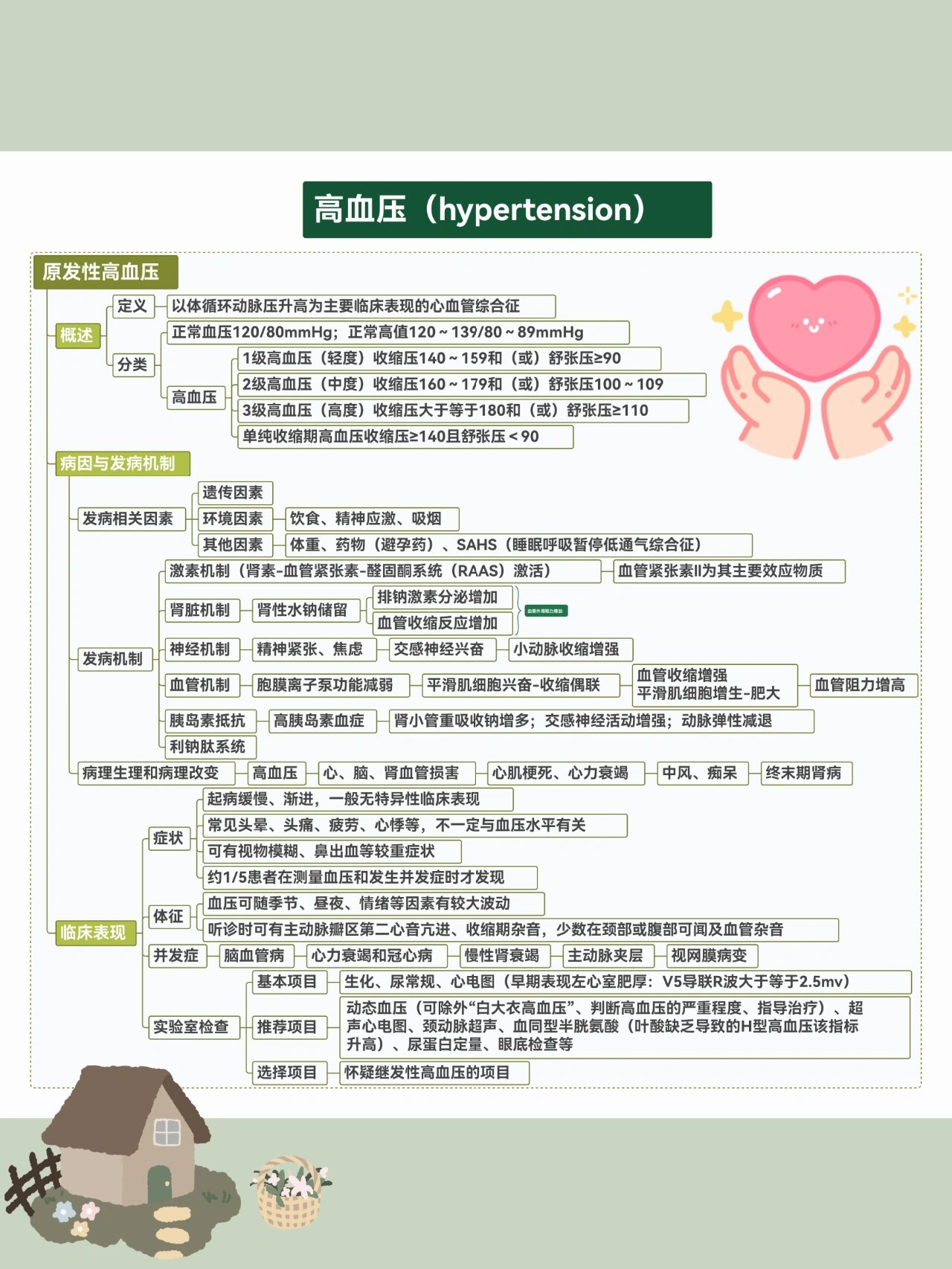 高血压知识点思维导图图片